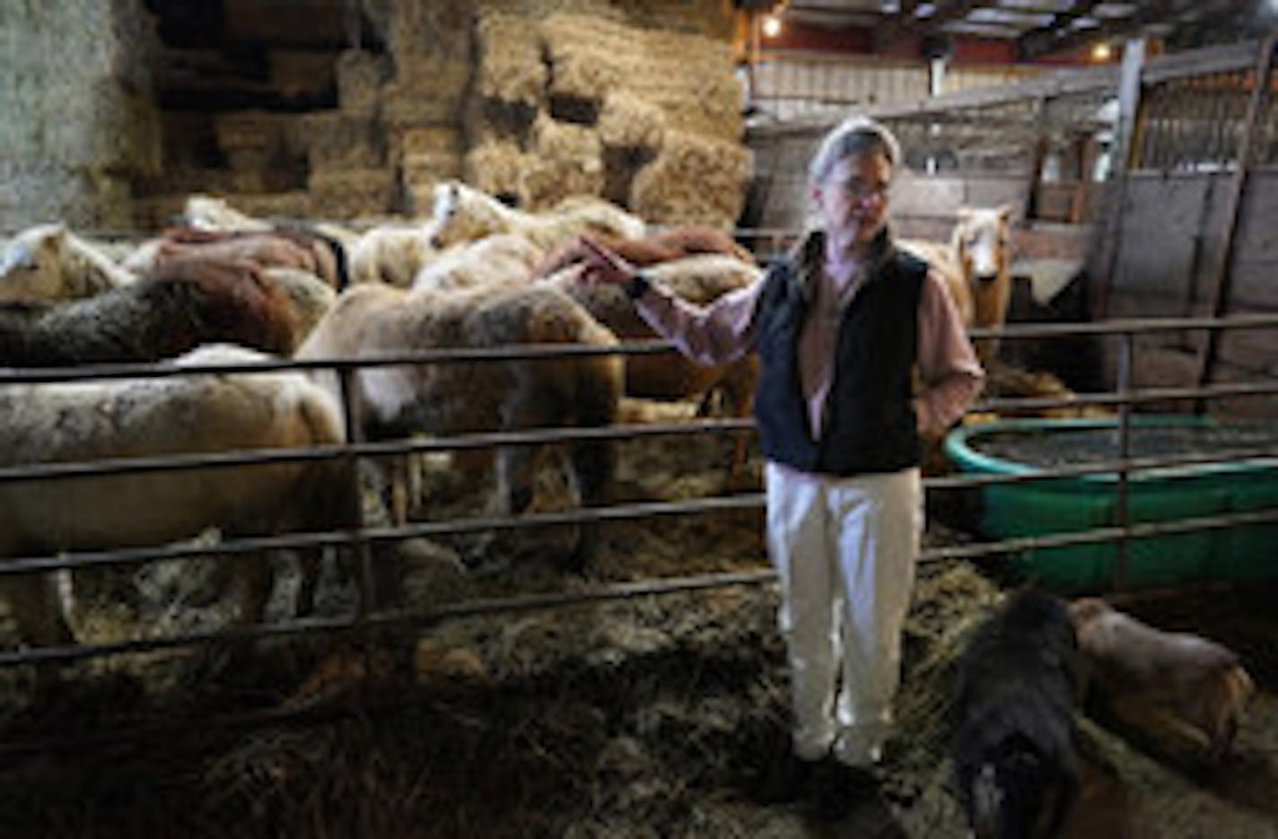 Shirley Kittleson, a veterinarian in Sherburn, Minn., says she's owed nearly $1.5 million for the care and feeding of a miniature pony herd that was seized from a pony farm two years ago.