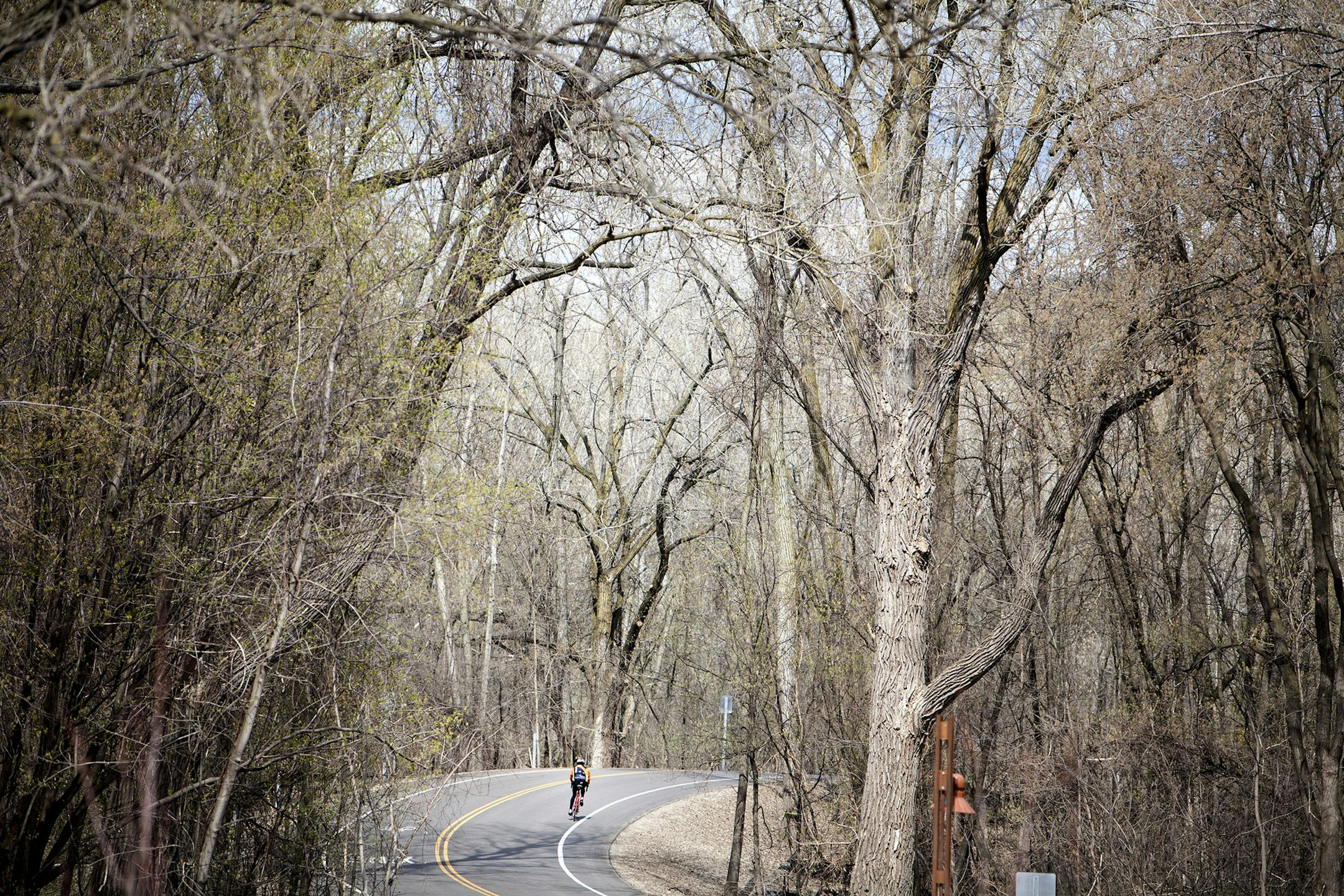 A lone cyclist travels down Lilydale Road in Lilydale May 3, 2014. (Courtney Perry/Special to the Star Tribune)