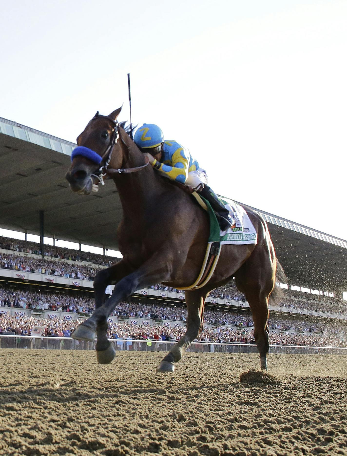 American Pharoah (5) with Victor Espinoza up leads the pack as he approaches the finish line during the 147th running of the Belmont Stakes horse race at Belmont Park, Saturday, June 6, 2015, in Elmont, N.Y. American Pharoah won to be the first horse to win the Triple Crown since Affirmed did it in 1978. (AP Photo/Julio Cortez)