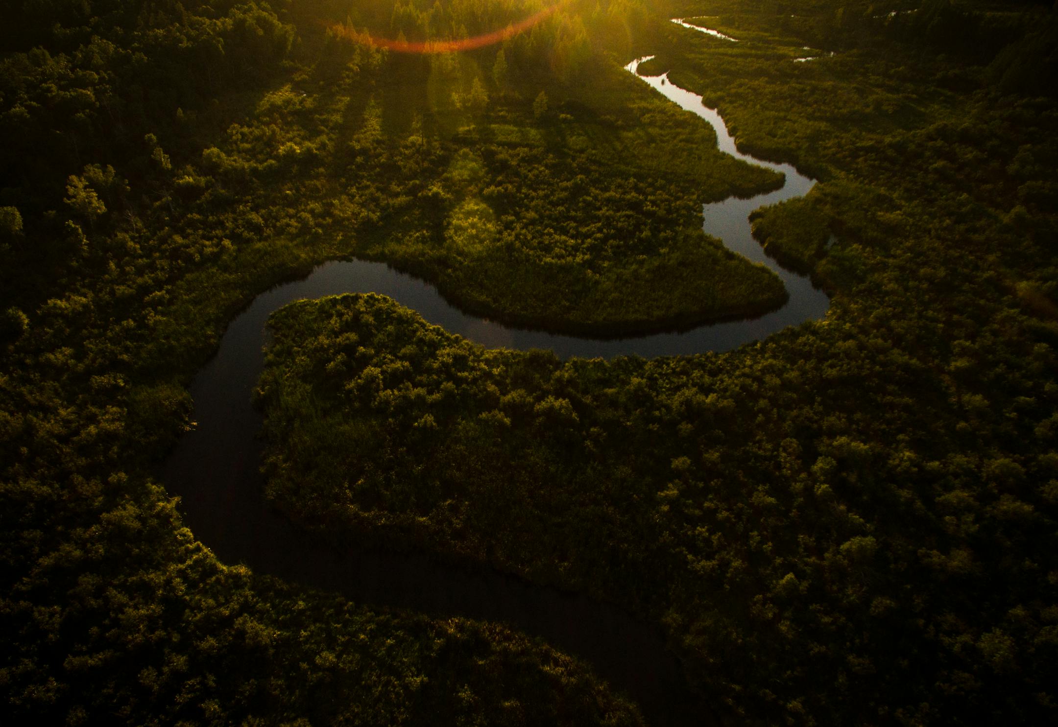The Straight River meanders through a forested area south of Park Rapids, Minn. The Straight River is a tributary of the Mississippi threatened by an increase of agricultural pollution. ] (AARON LAVINSKY/STAR TRIBUNE) aaron.lavinsky@startribune.com RIVERS PROJECT: We look at three of Minnesota's rivers, including the Mississippi, Red and Chippewa, to see how land use effects water quality and pollution.