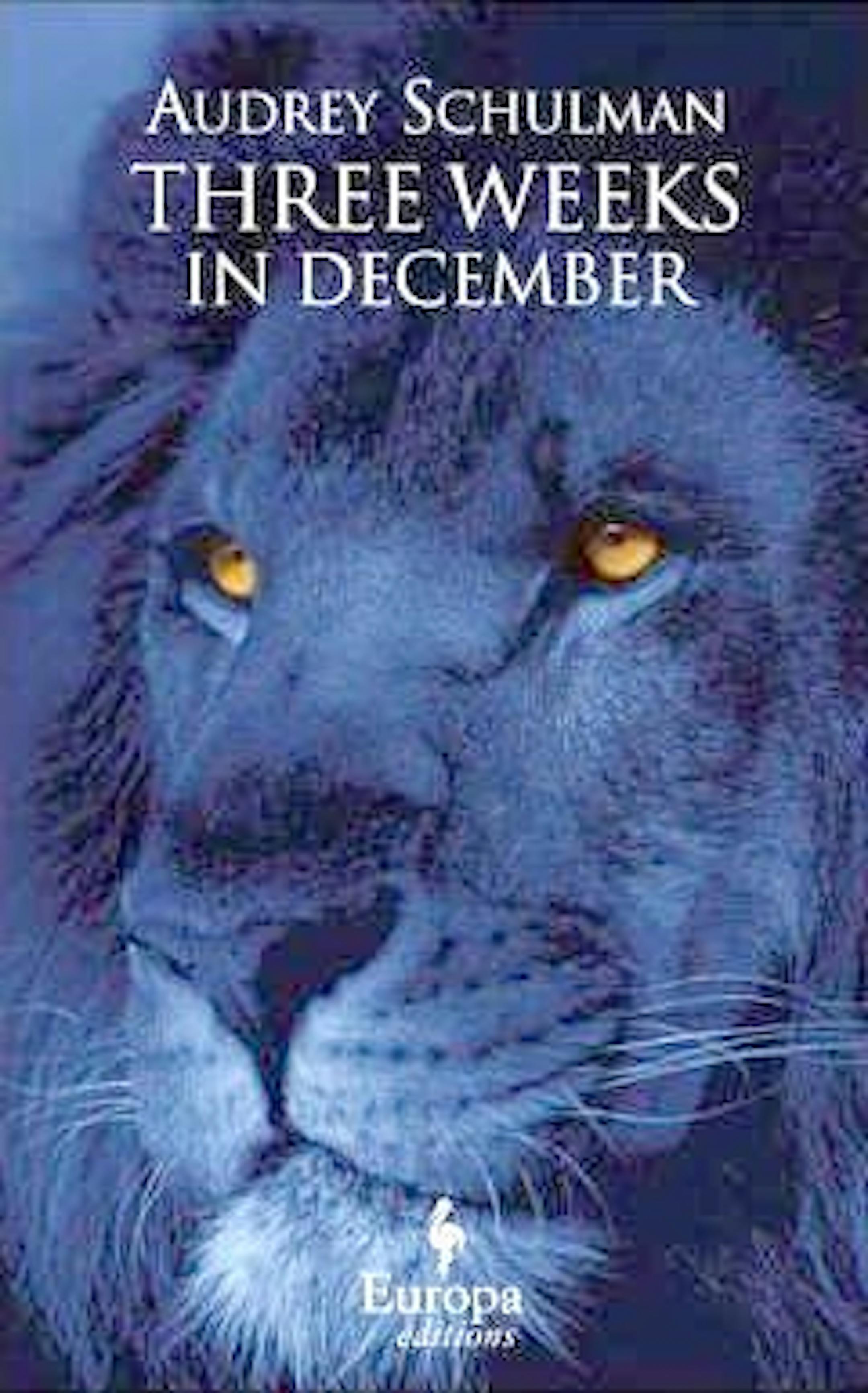 THREE WEEKS IN DECEMBER by Audrey Schulman.