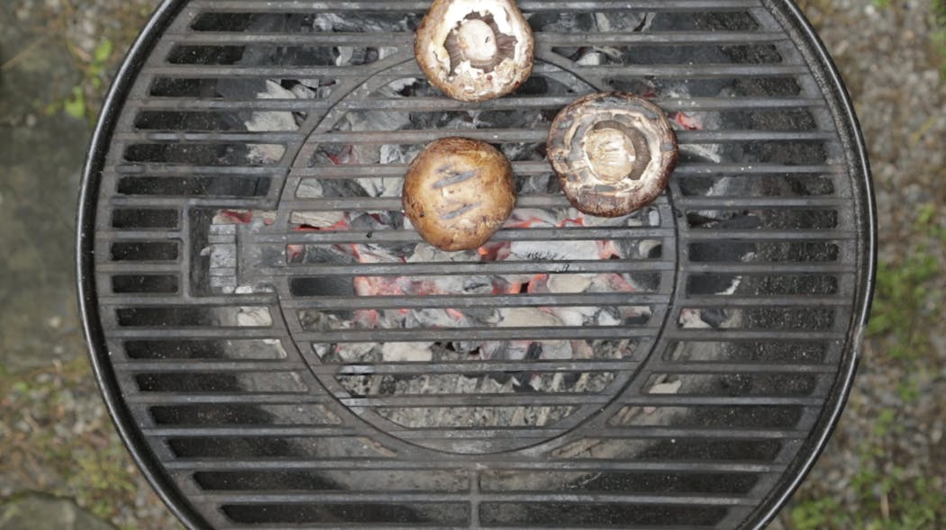 Mushrooms are best cooked directly over a fire.