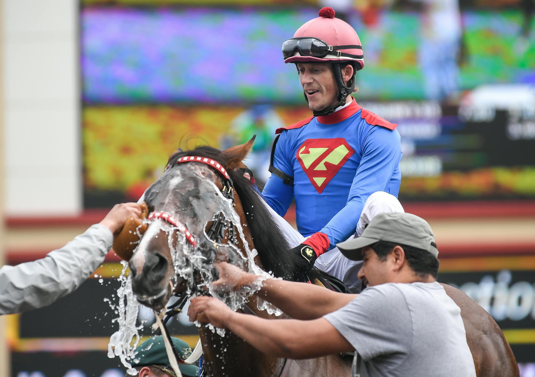 Jockey Quincy Hamilton watched as handlers put water onto the head of Blackhawk's Sis after they won the fourth race of the day Saturday at Canterbury Park. ] AARON LAVINSKY ï aaron.lavinsky@startribune.com Canterbury Park held its final day of racing of the season on Saturday, Sept. 16, 2017 in Shakopee, Minn.