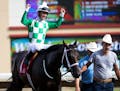 Leandro Goncalves celebrated Mr. Jagermeister win during Festival of Champions races at Canterbury Park Sunday September 1,2019 in Shakopee, MN.] Jerr