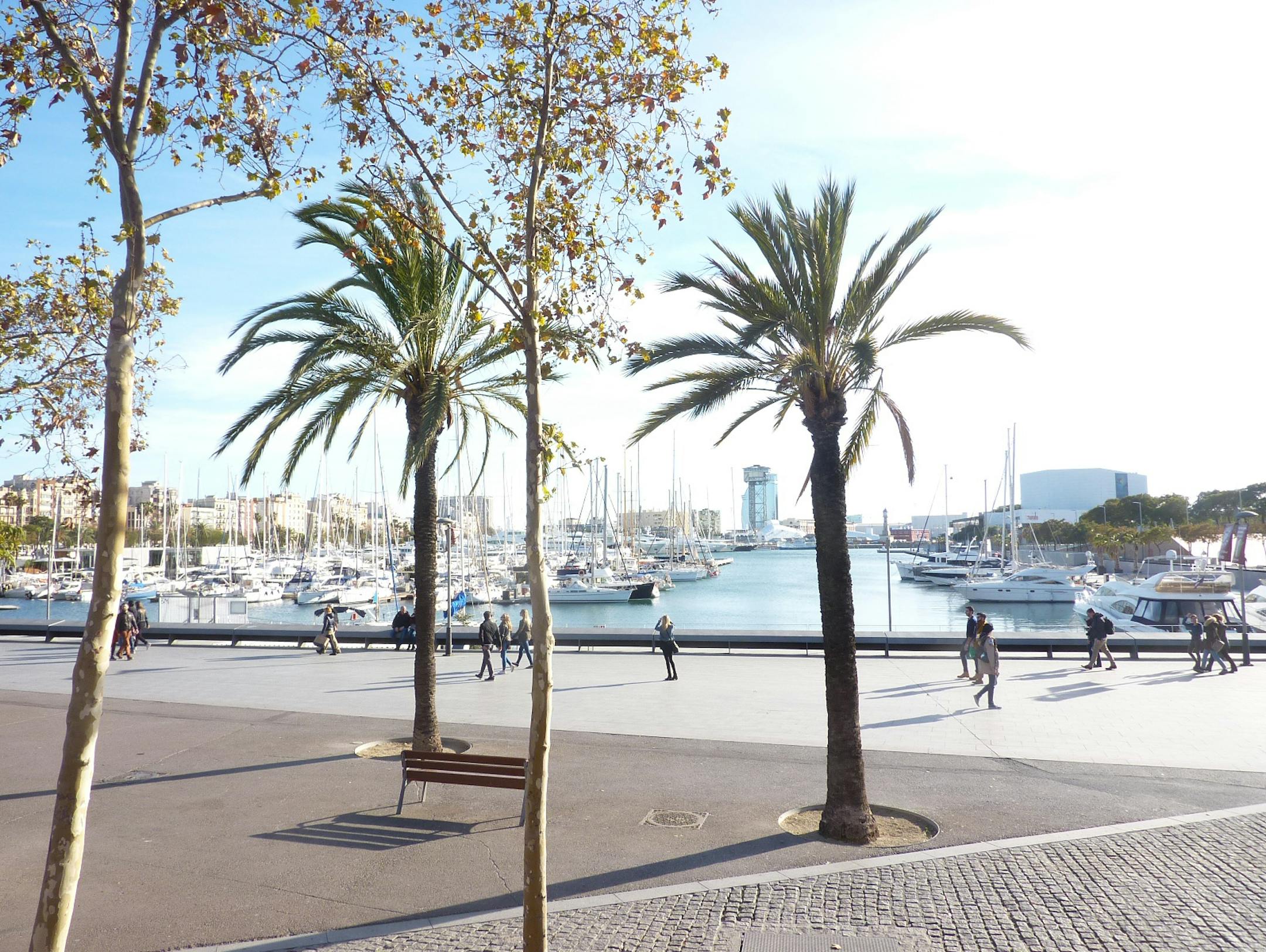 Barbara DeGroot and her family spent last January exploring Barcelona, Spain. Provided photo