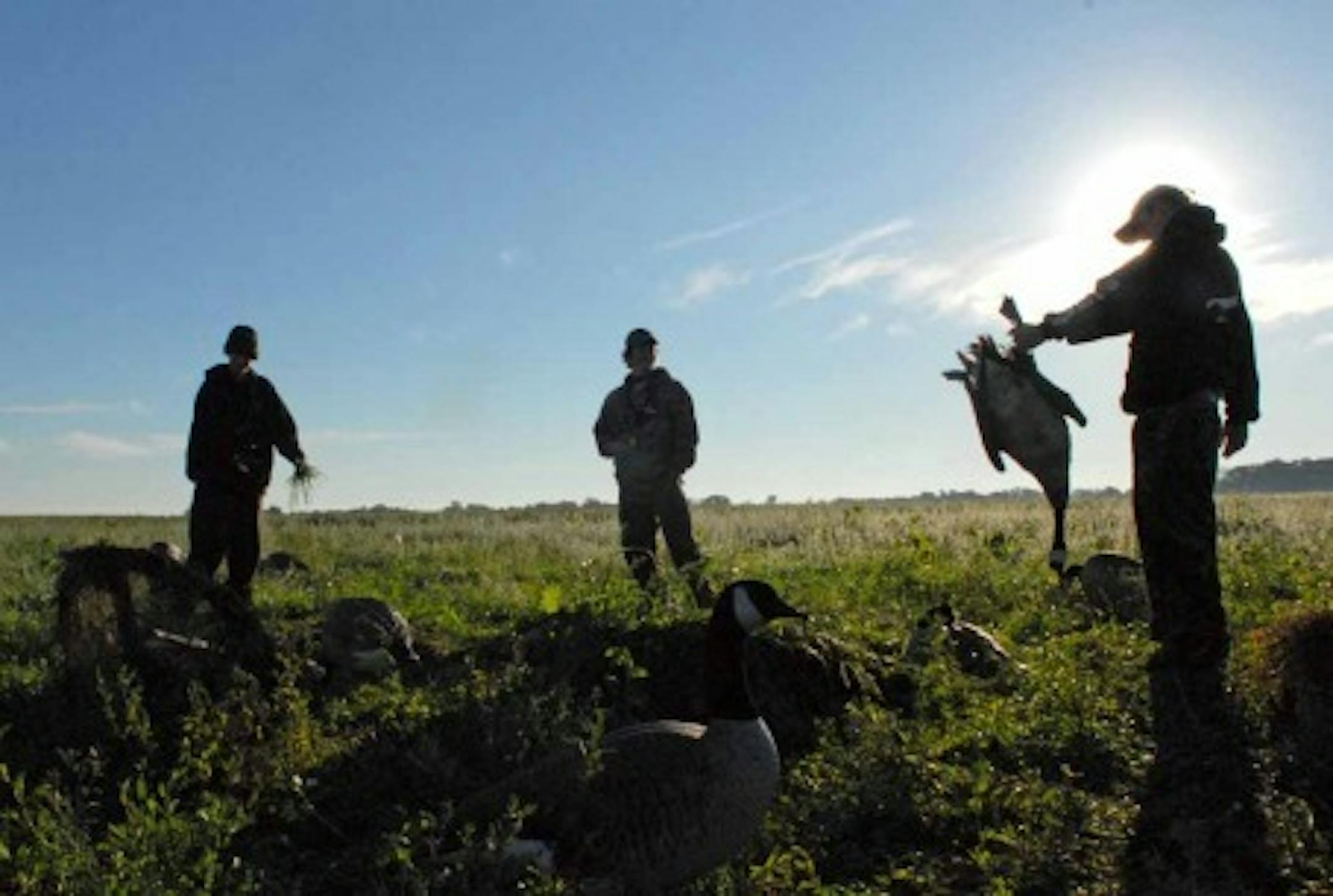 The early goose season began Saturday morning, and shots rang out virtually statewide. About 40 percent of the annual Canada goose harvest in Minnesota occurs during the September season. In the metro, finding a place to hunt is often more challenging than finding geese. Here, a honker that fell to three young gunners on Sunday morning.