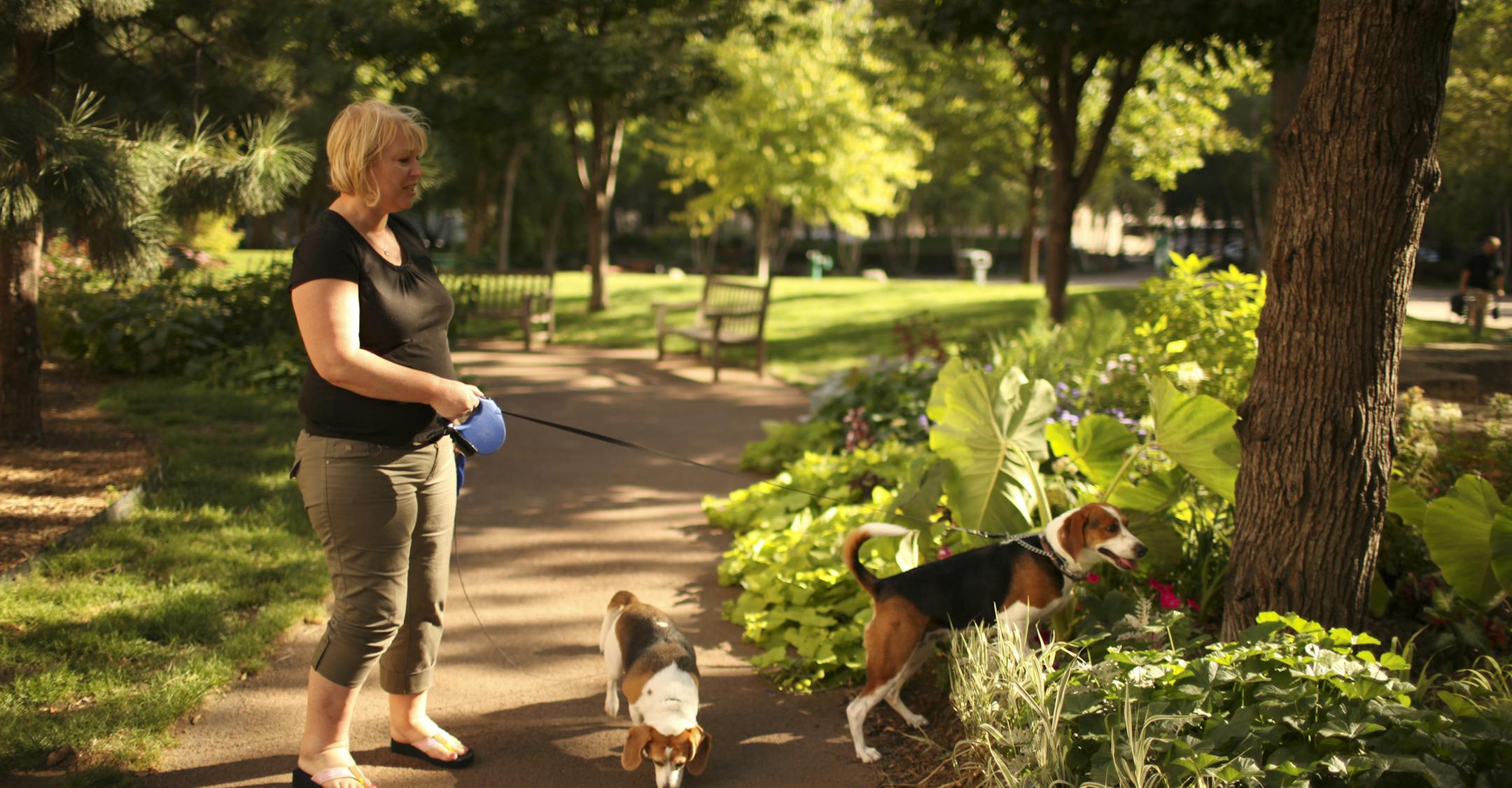 JEFF WHEELER • jwheeler@startribune.com ST. PAUL - 8/18/09 - Lowertown in St. Paul has been of on the verge of something big for what seems like decades. Now, finally, with a mix of residents and restaurants, the neighborhood seems to be approaching a tipping point. IN THIS PHOTO: ] Adrienne Lally walked her dogs Cassie and Millie while on a visit to Mears Park Tuesday afternoon. She just moved into the neighborhood. ORG XMIT: MIN2013090619162494