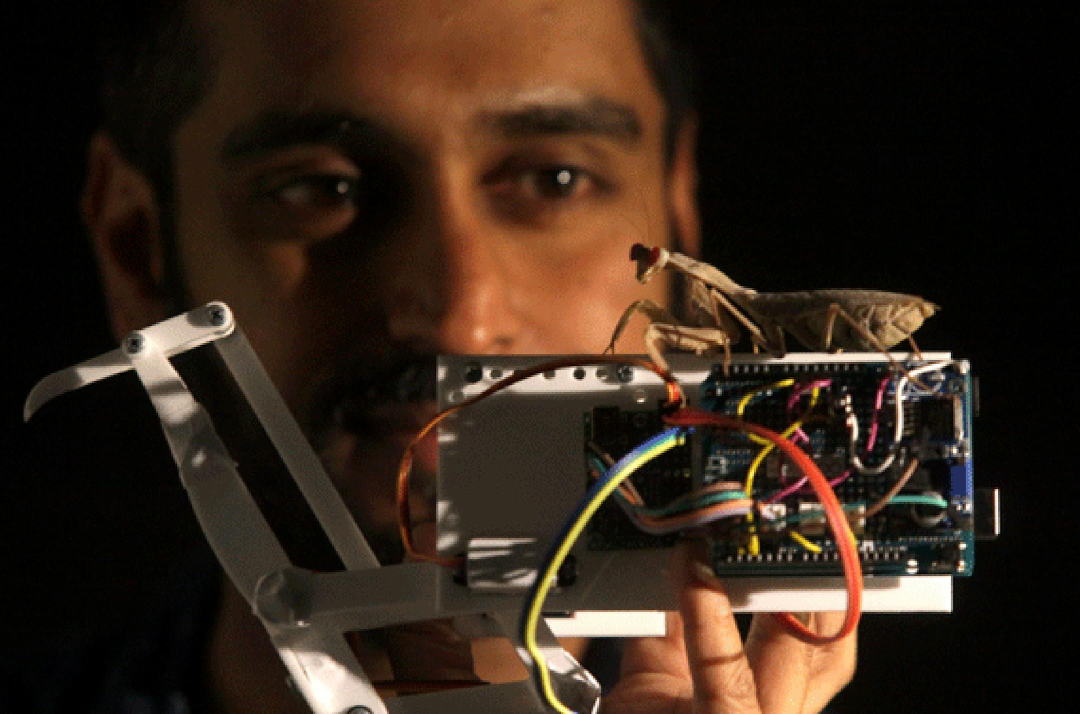 Lead author Vivek Nityananda holds a praying mantis atop a mantis-inspired robot arm. (Newcastle University, England) ORG XMIT: 1223330