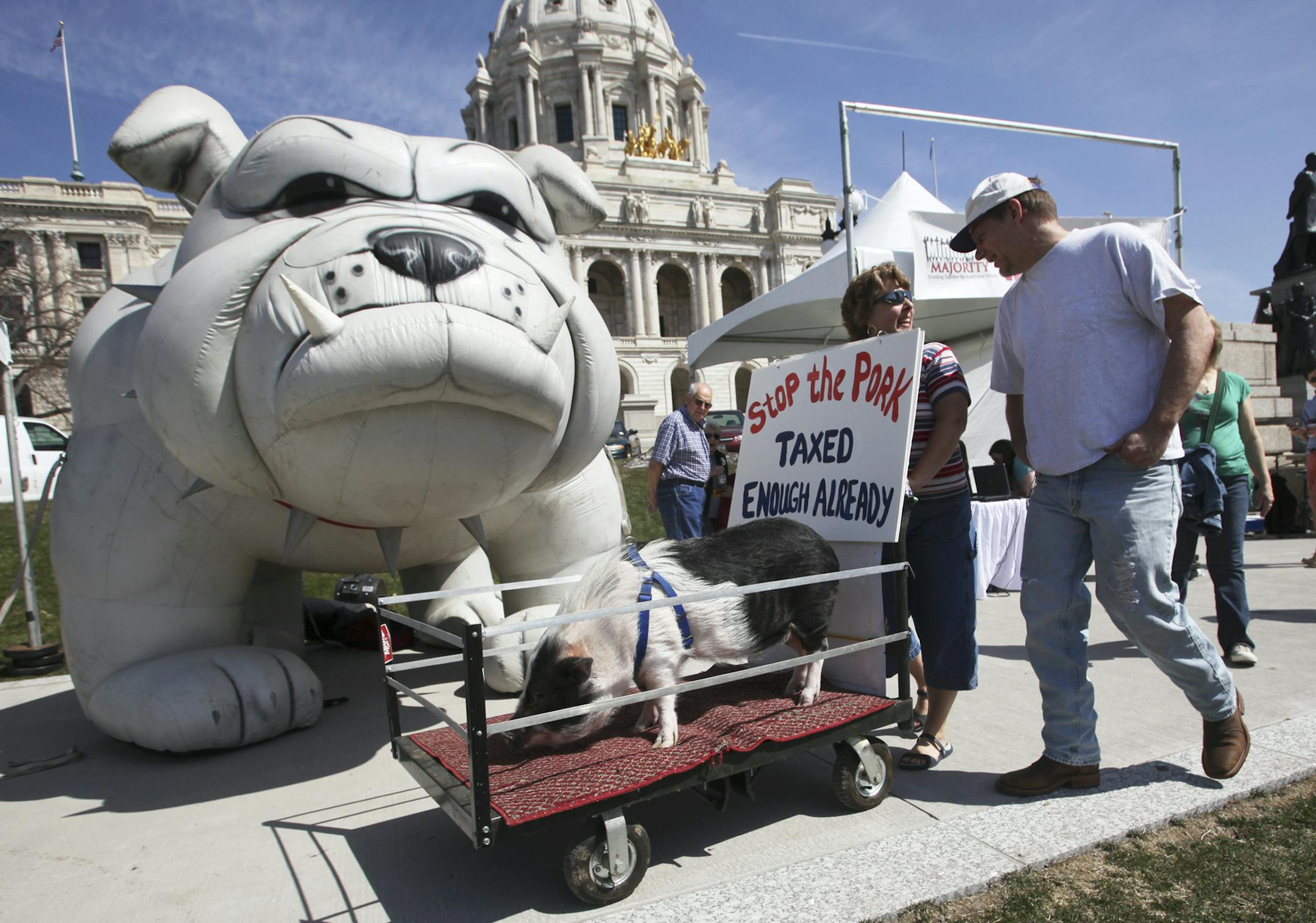 Marjorie Holsten of Maple Grove brought Taylor Swine, her pet potbelly pig, to deliver a message at the 2013 Taxpayer Rally Saturday, April 27, 2013, at the State Capitol in St. Paul, MN.]JOLES/STARTRIBUNE) djoles@startribune.com 2013 Taxpayer Rally Saturday, April 27, 2013, at the State Capitol in St. Paul, MN.**Marjorie Holsten,cq