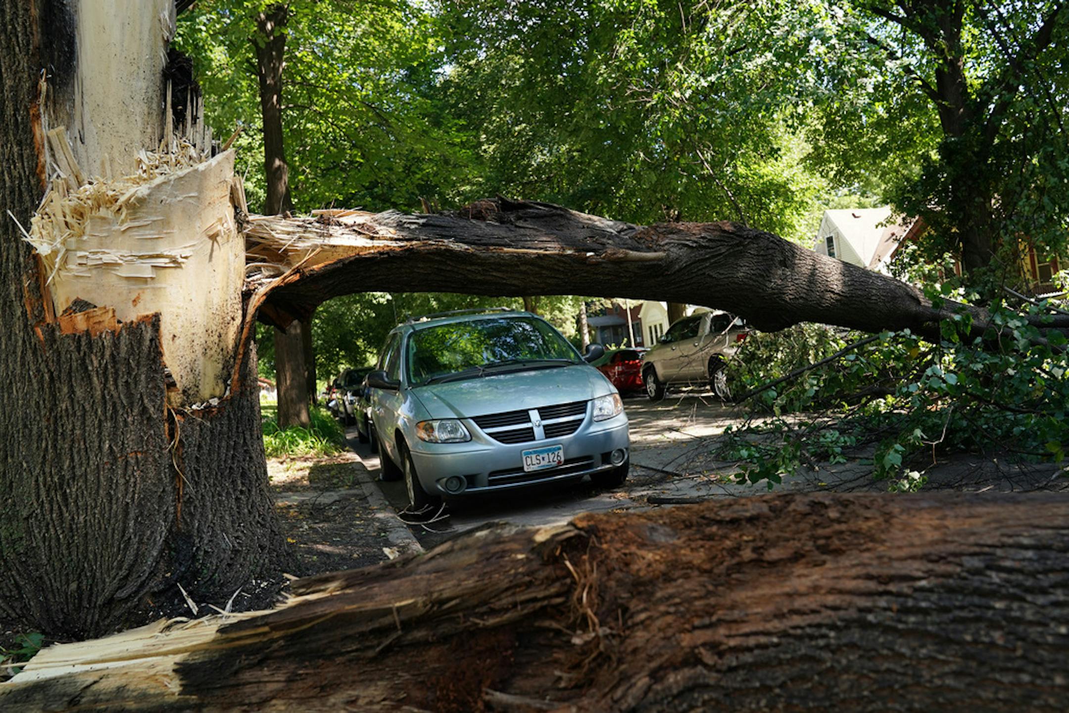 Phai Thao got some help from his two sons, Michael 11, and Keng Kue, 5, as they worked to clear a downed tree from the sidewalk in front of their north Minneapolis home Saturday morning.