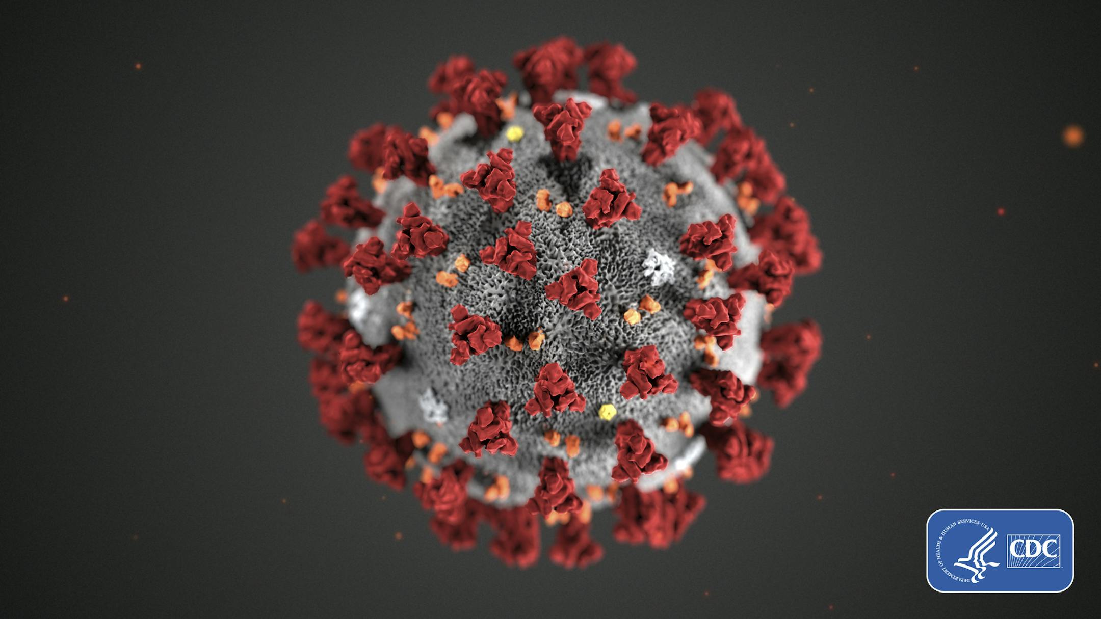 FILE - This illustration provided by the Centers for Disease Control and Prevention (CDC) in January 2020 shows the 2019 Novel Coronavirus (2019-nCoV). The coronavirus outbreak has exposed a seeming disconnect between the financial markets and science. Health experts are uncertain how far the virus out of China will spread and how bad the crisis will get, yet stock markets are rallying as if they&#x2019;re not expecting more than a modest hit to the global economy. (CDC via AP, File)