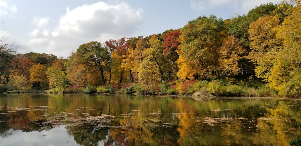 Lake Marmo at the Morton Arboretum in Illinois.