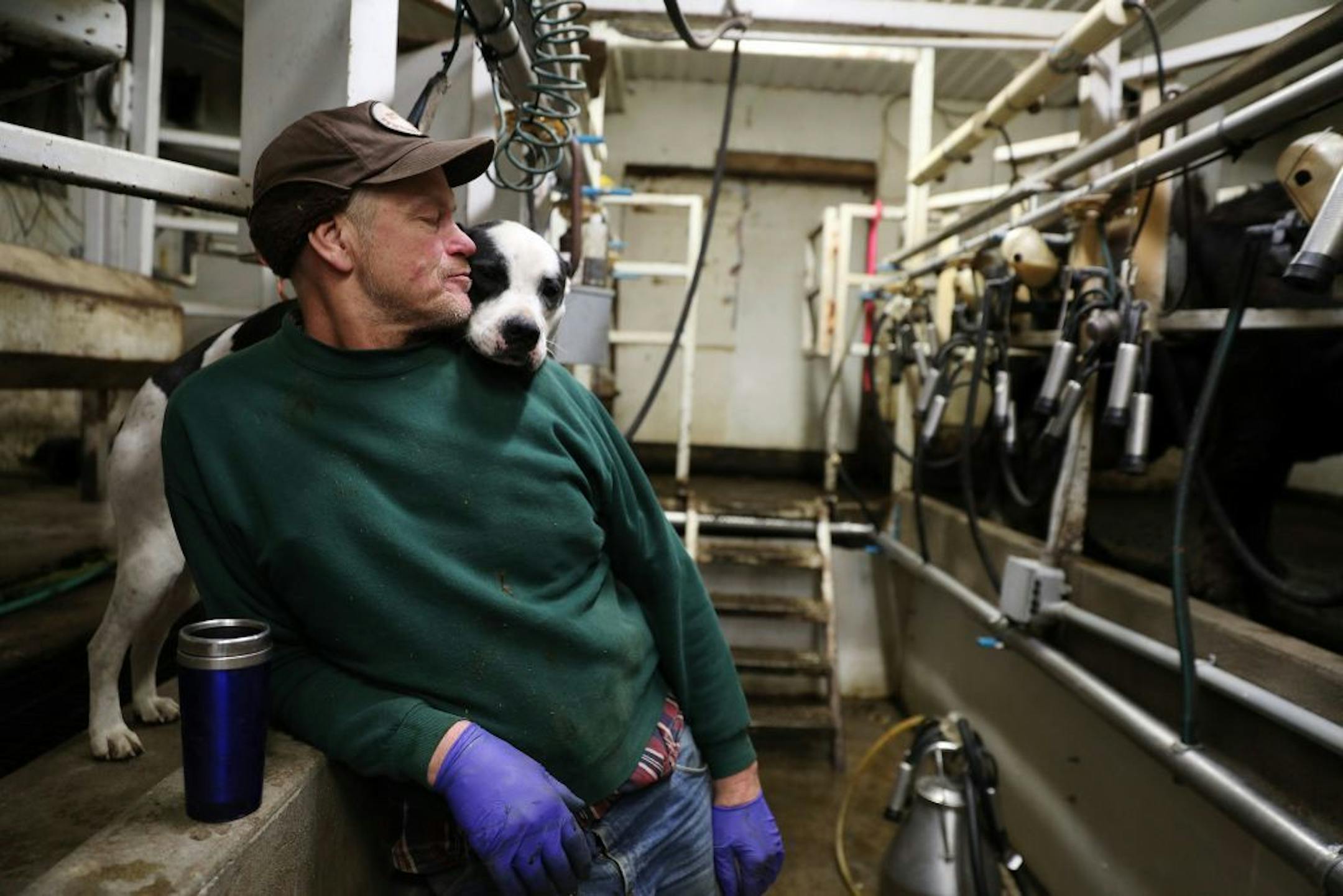 Kevin Stuedemann loved on his dog Cubby as he waited for his cows to be milked.