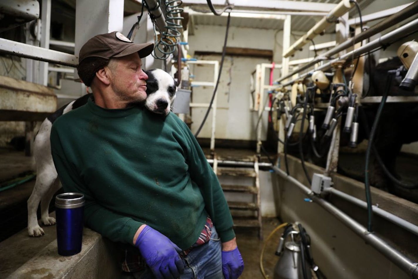 Kevin Stuedemann loved on his dog Cubby as he waited for his cows to be milked.