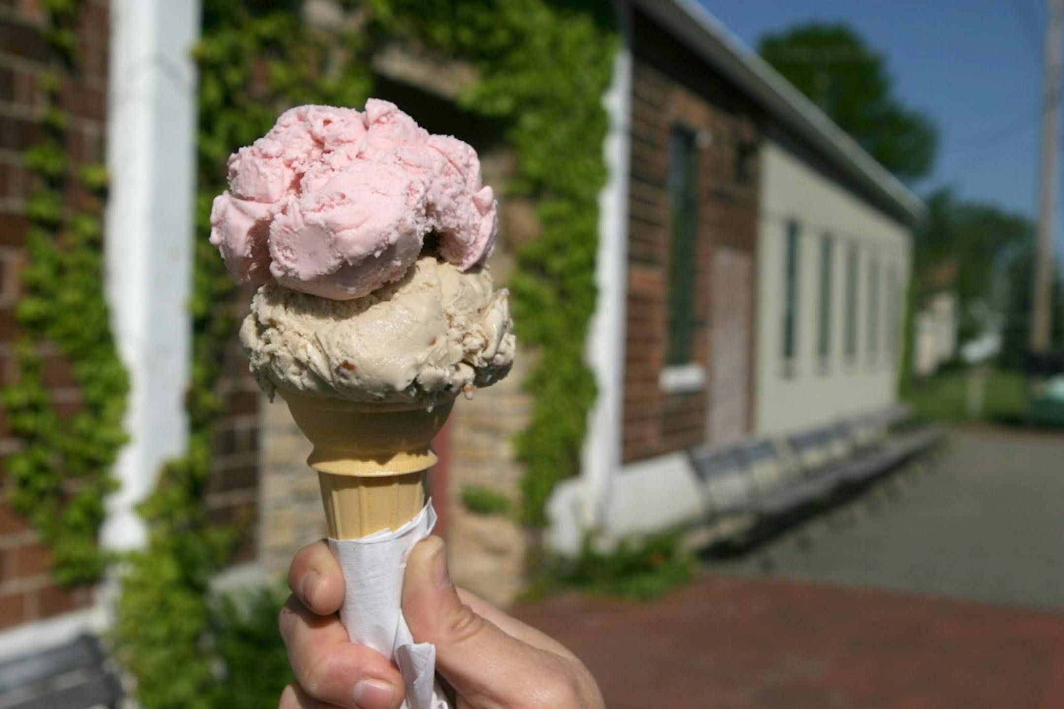Nelson Cheese Factory:  Go for the ice cream, stay for the cheese.   