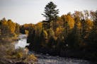 Fall colors line the shores of Knife River in North east Minnesota. ] ALEX KORMANN • alex.kormann@startribune.com Fall colors were at the tail end o