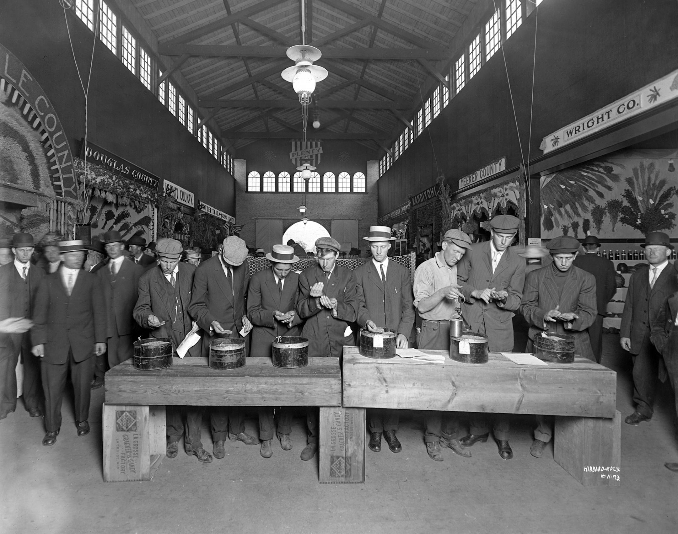 Judges examining grain in the Agriculture (Exhibition) building, 1911. Photo provided by the Minnesota State Fair Archives