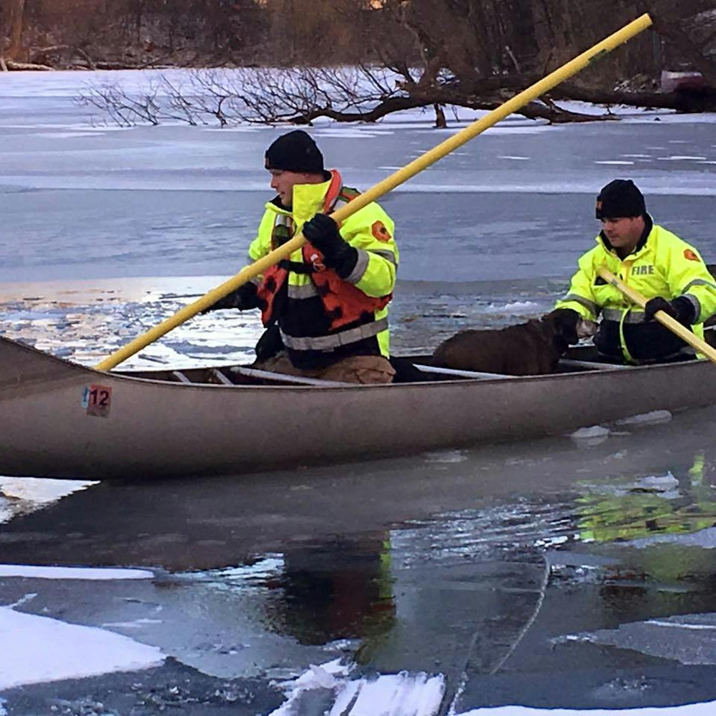 Their live saved, two shivering dogs sat in the firefighters' canoe. ORG XMIT: PGUodnEWnzGp8FF9R1xy