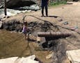 A stormwater pipe along Minnehaha Creek, exposed by historic flooding in 2014. Next week, the Minnehaha Creek Watershed District will begin to repair 
