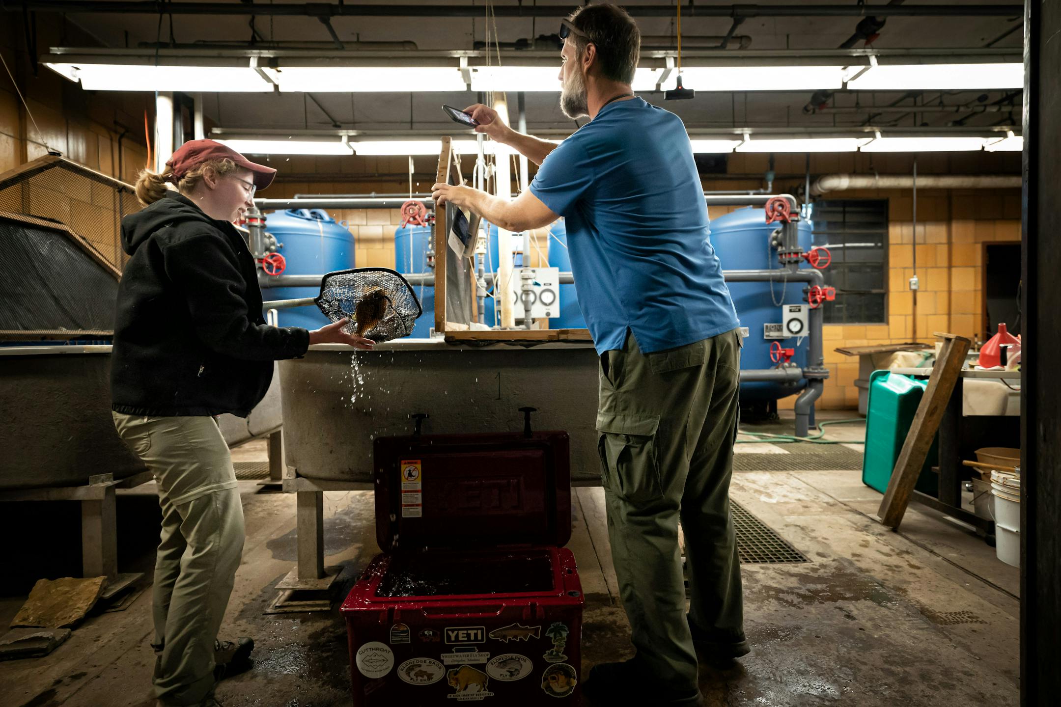 East Metro Supervisor T.J. DeBates took photos of the donated aquarium fish as Genevieve Furtner, St. Paul State Fish Hatchery Supervisor, gently placed them in the tank of fish destined for the State Fair.