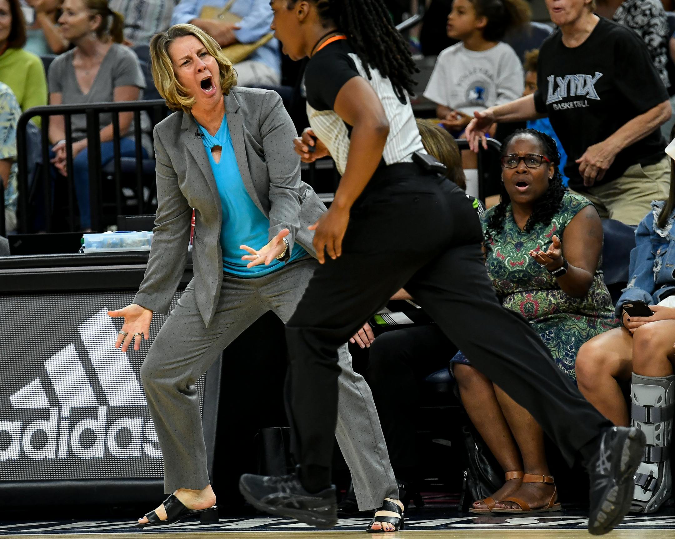 Going into Wednesday's WNBA draft, coach and general manager Cheryl Reeve's Lynx are in transition. They're coming off an 18-16 season and a first-round playoff exit.