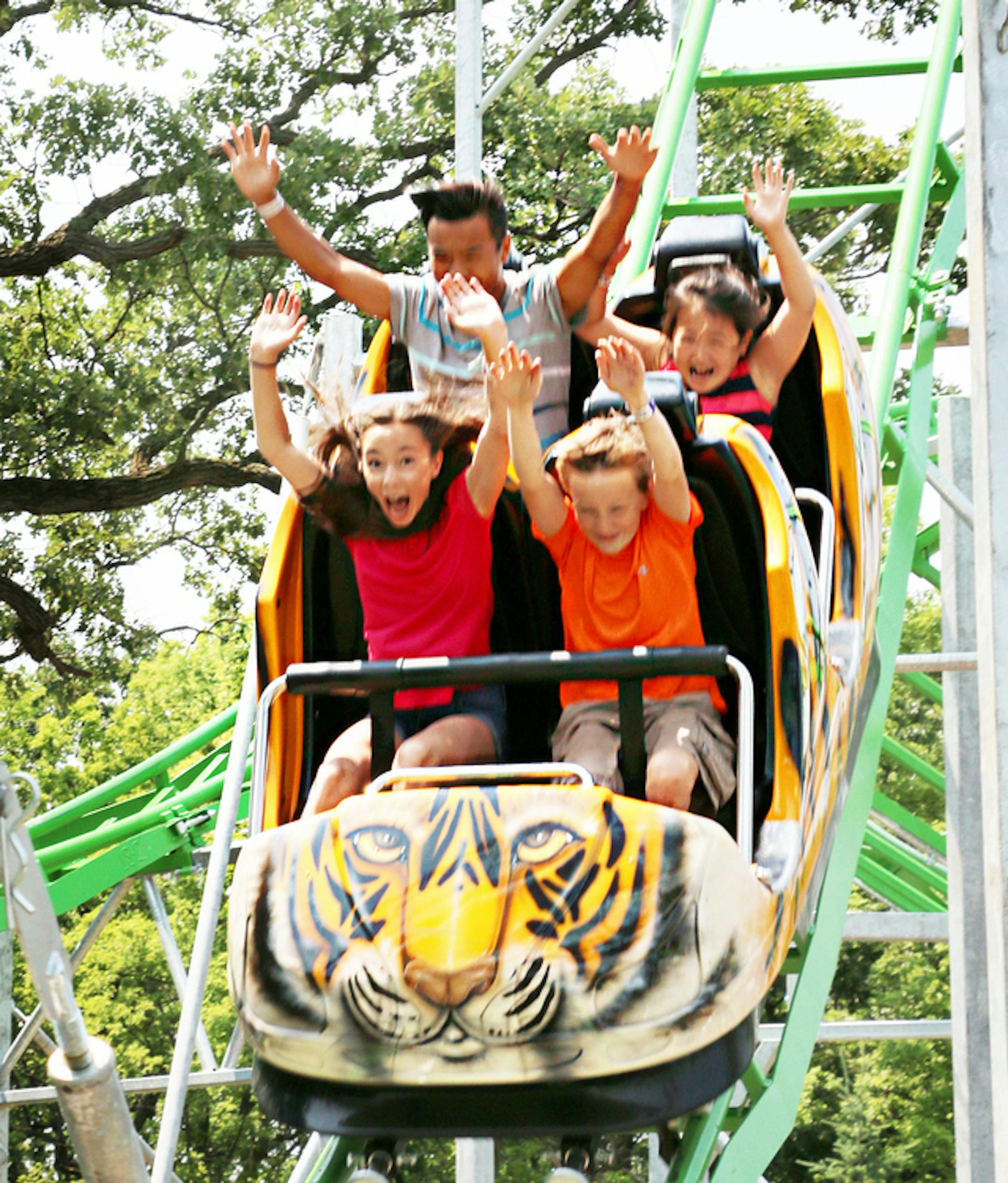 Provided
Tiger Trax roller coaster at Como Town.