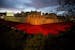 The near completed ceramic poppy art installation by artist Paul Cummins entitled 'Blood Swept Lands and Seas of Red' is seen lit up before sunrise in
