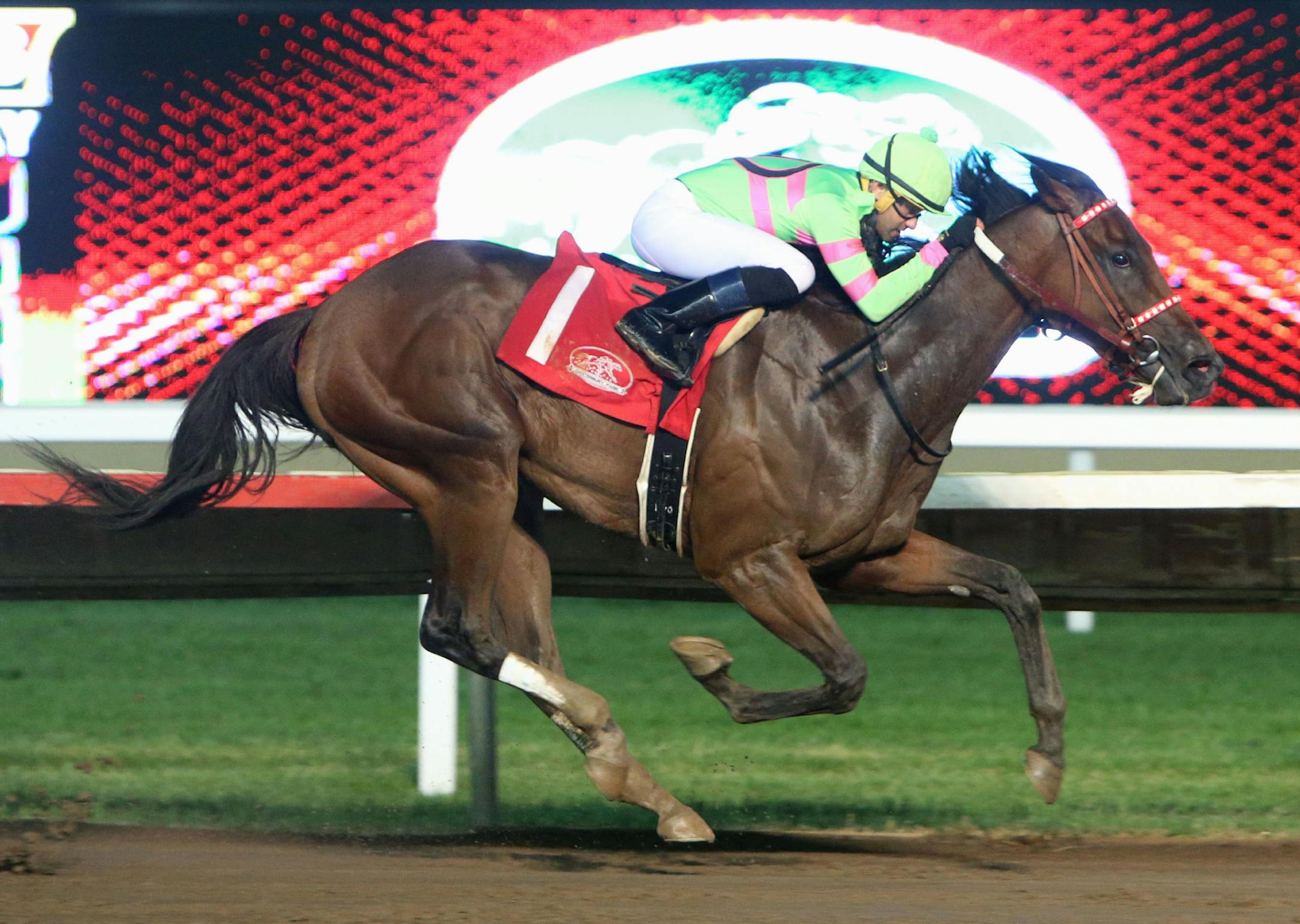 Mister Banjoman won the Minnesota Derby at Canterbury Park on Aug. 10. Credit: Coady Photography
