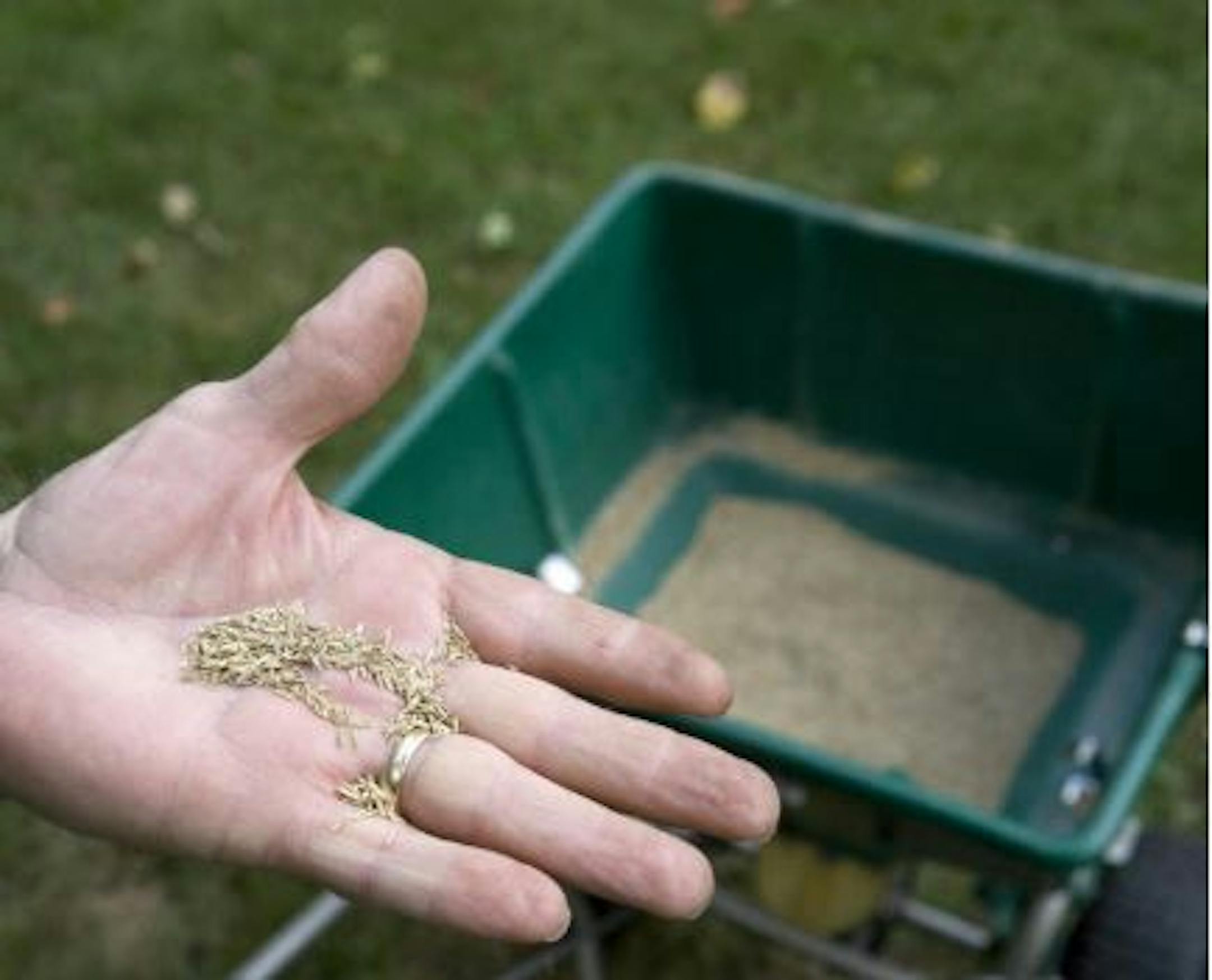 Choose a blend of grass seed appropriate to your lawn's particular conditions, and spread at the recommended rate.
