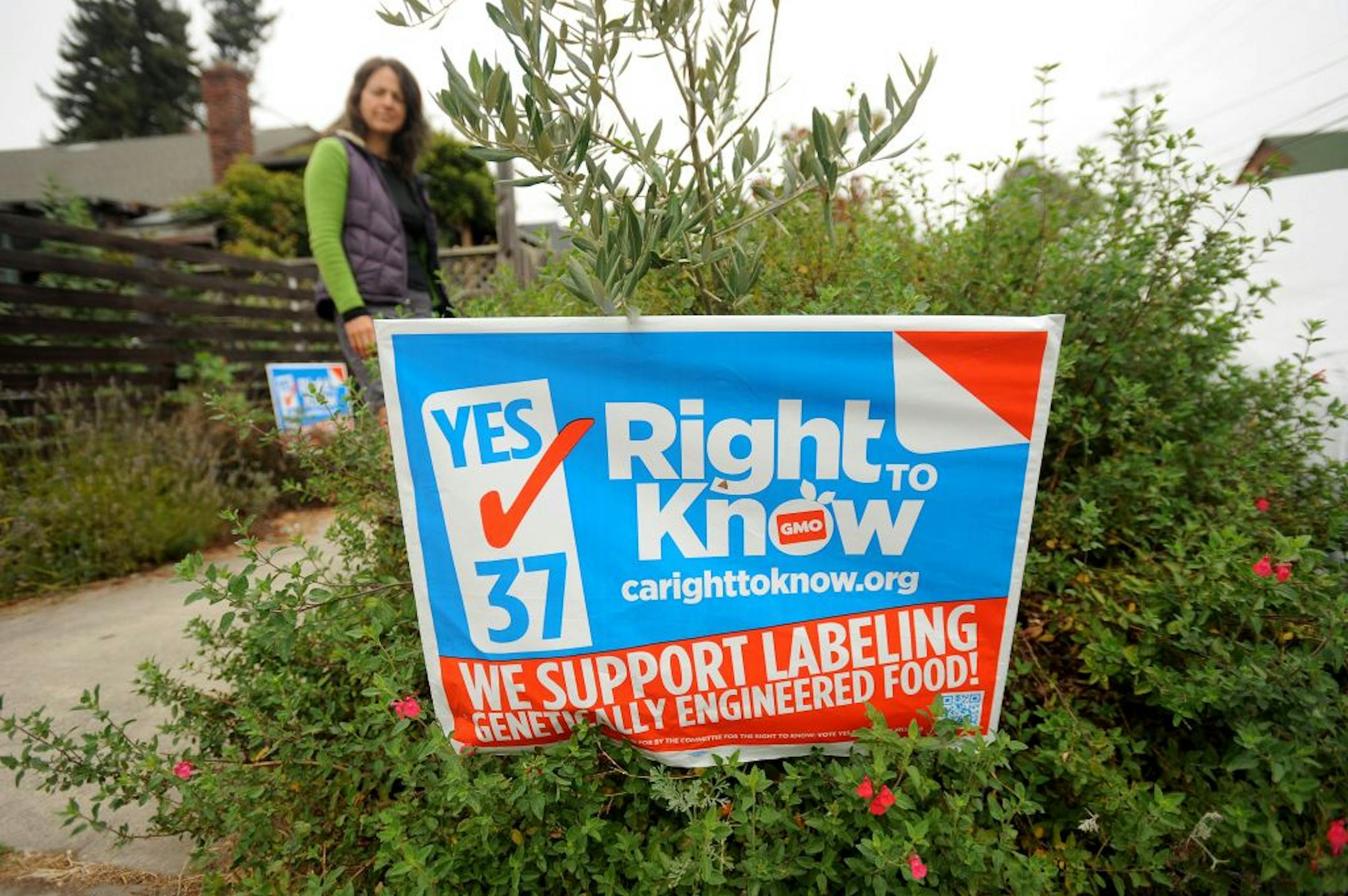 A campaign sign for Proposition 37, which would require foods that contain genetically modified organisms to be labeled, on Cate Leger's lawn in Berkeley, Calif., Sept. 12, 2012. On Nov. 6, Californians will vote on whether to require that genetically modified organisms in food be clearly identified as such, and organic food companies are split on the bill.