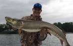 Chris Dahl of Cologne caught this muskie in 20 feet of water off a deep weed line on Lake Minnetonka on the first day of the muskie season.