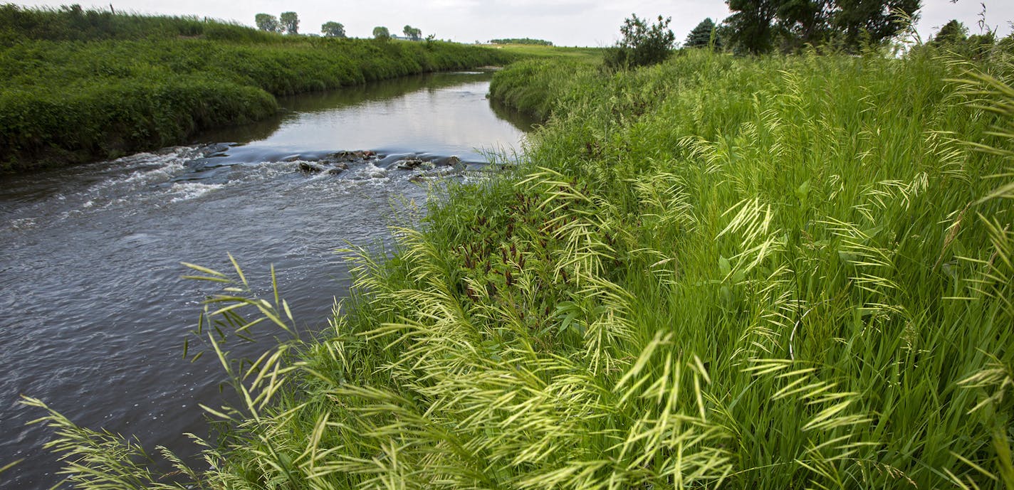 A buffer strip of grass and trees along the Rock River west of Edgerton is a good example of the protective strips that help filter runoff. ] In the small town of Edgerton where a shallow aquifer readily absorbs leaching farm chemicals, residents pay extra every month for special treatment to make their water safe to drink. The nitrate-removal system -- now woven into the infrastructure of this heavily Dutch settlement - reflects the dilemma that a number of communities are having across Minneso