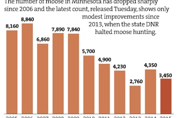 Graphic: No moose hunting season this year