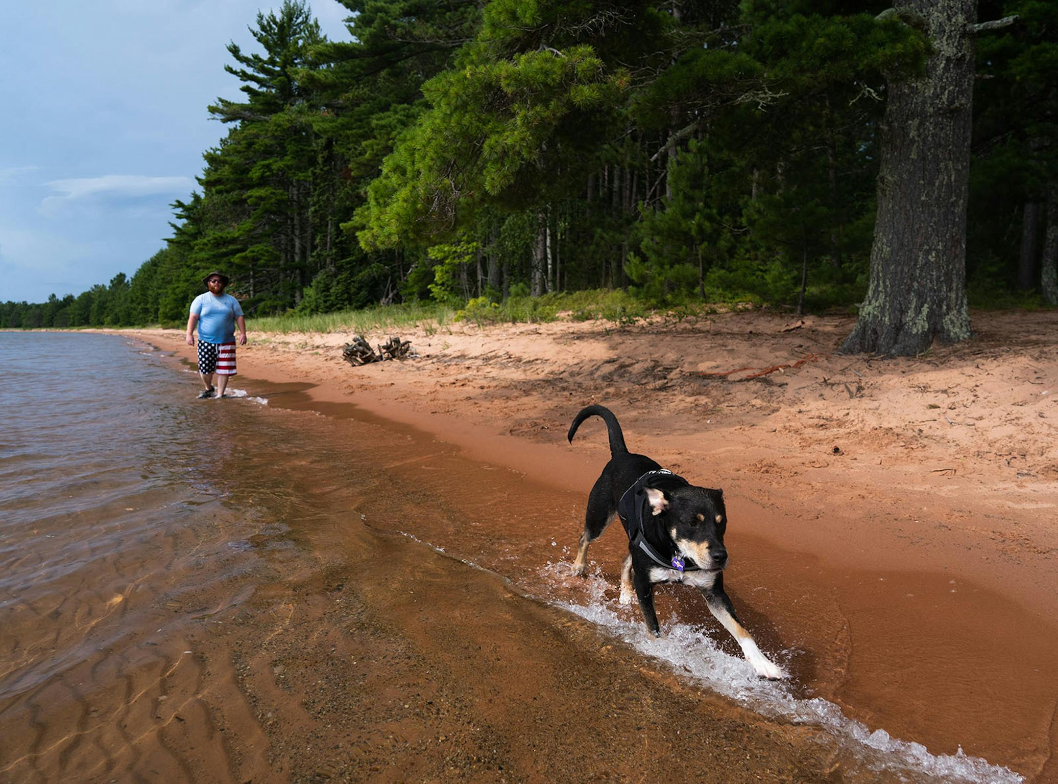 Taking your dog to the beach can keep it entertained.