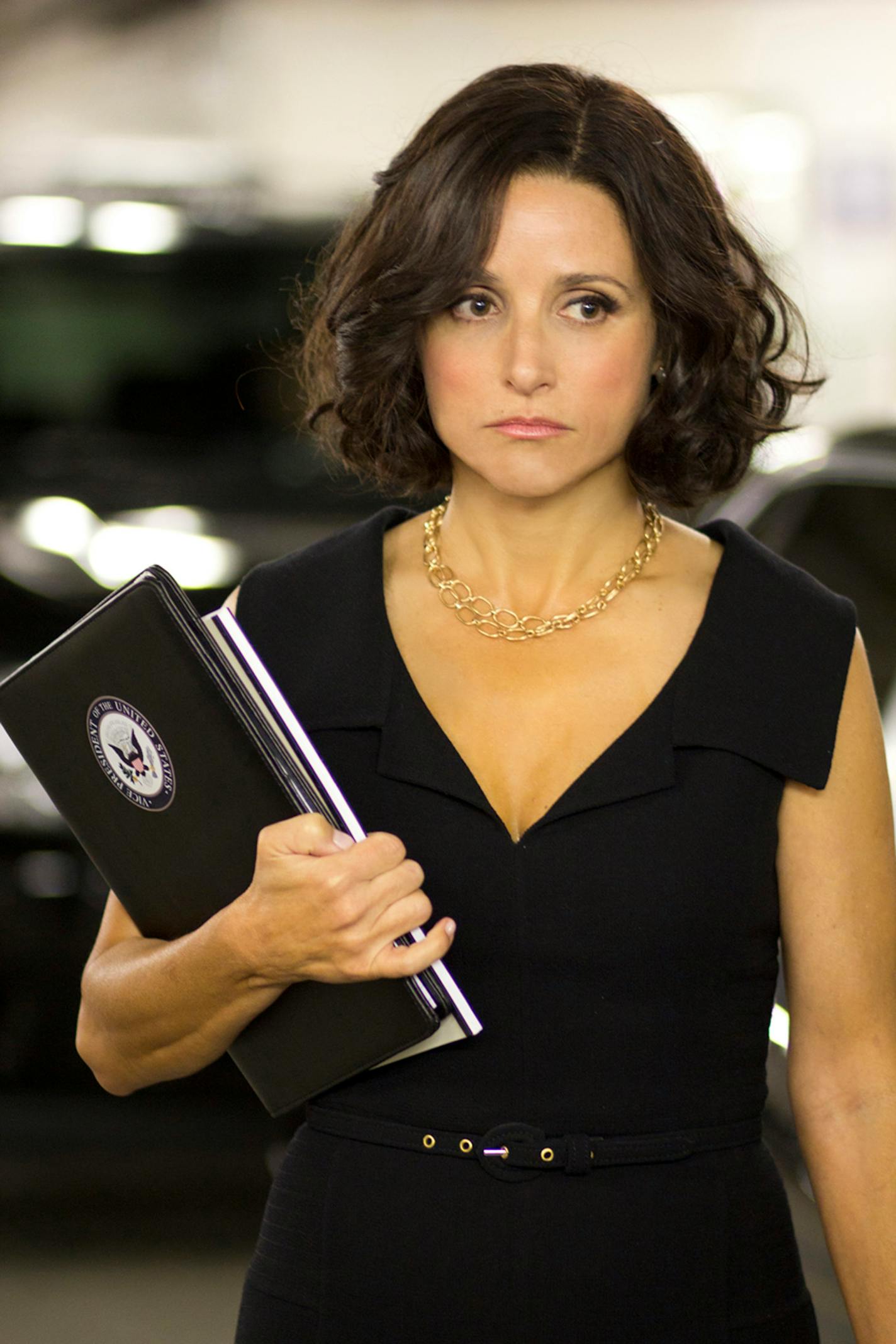 Julia Louis-Dreyfus in "Veep."