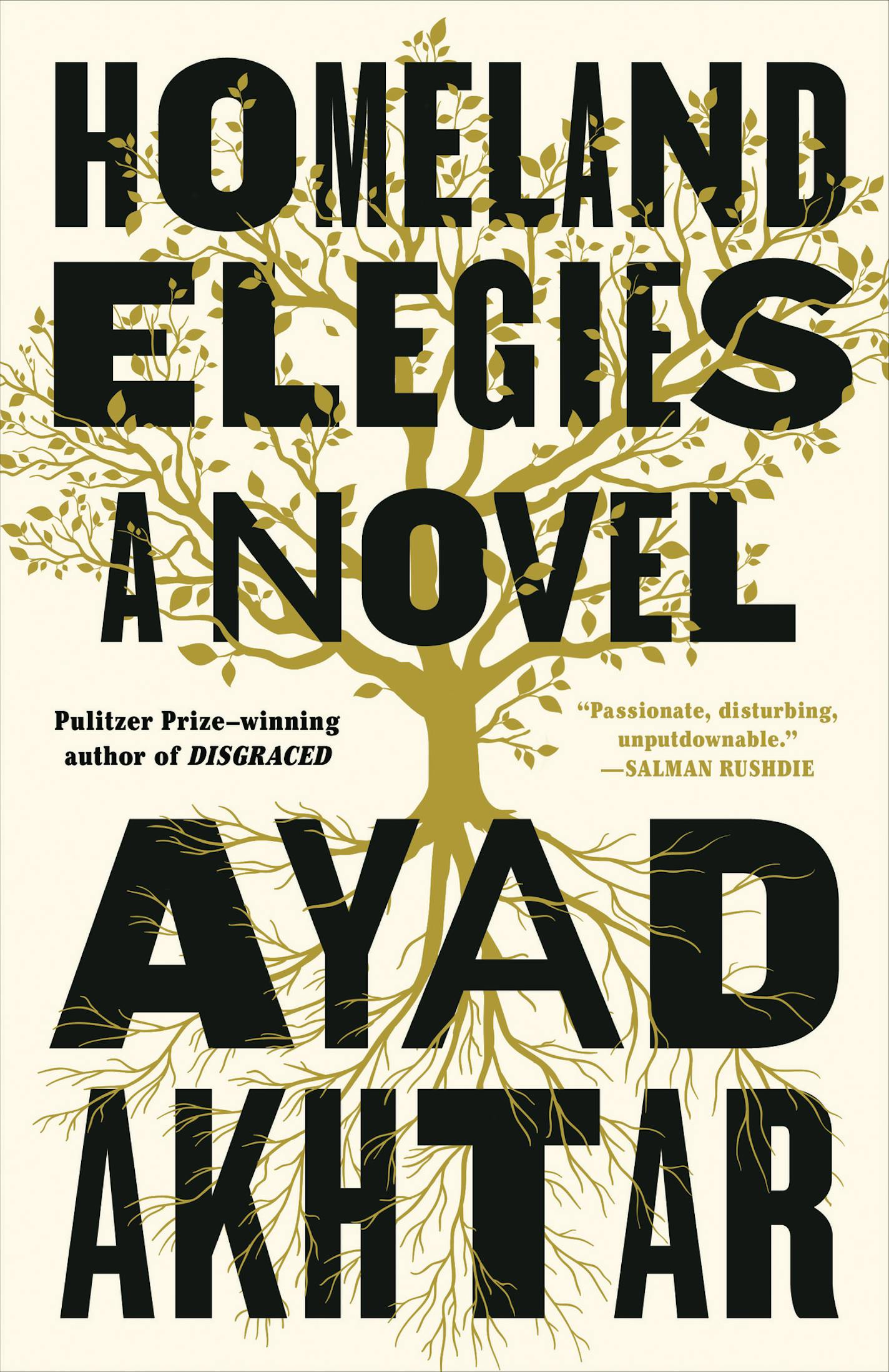 Homeland Elegies by Ayad Akhtar