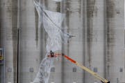 Australian artist Guido van Helten braved cold, wet weather and 40 mph wind gusts to start work on a massive mural on the Ardent Mills grain silos in 