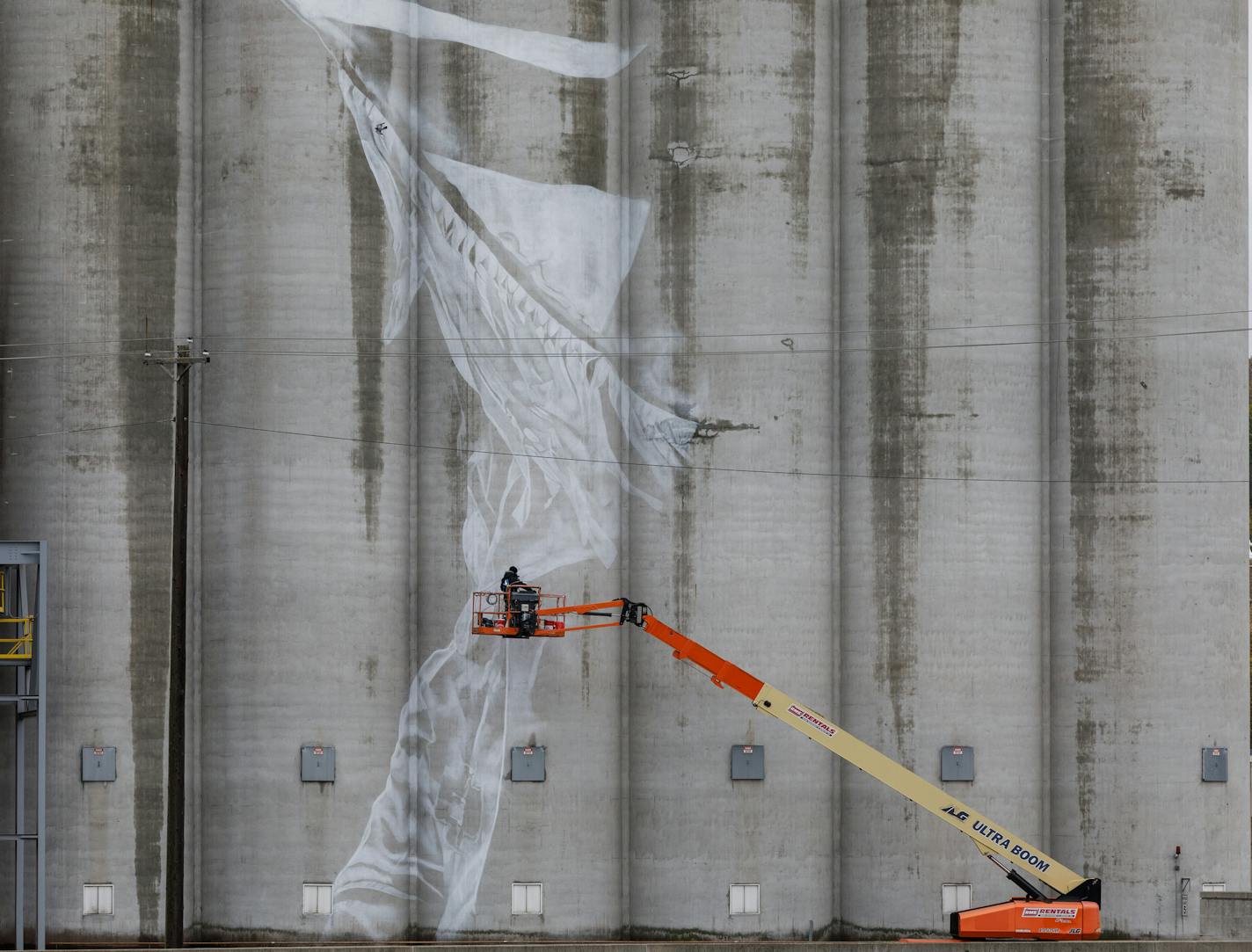 Australian artist Guido van Helten braved cold, wet weather and 40 mph wind gusts to start work on a massive mural on the Ardent Mills grain silos in Mankato. He hasn't released a sketch of the project but says he took inspiration from the Mahkato Wacipi (Mankato Pow Wow) celebration and the city's diversity and inclusion.