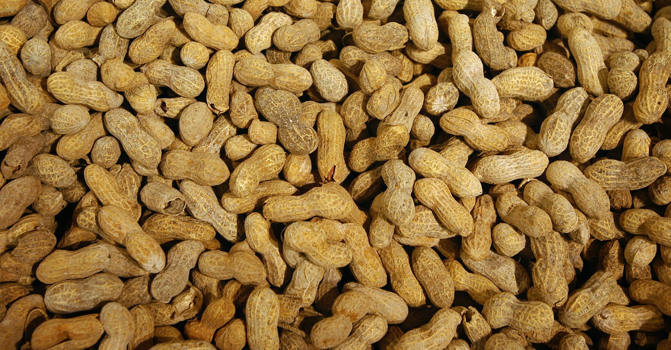 Shorewood, MN, Tuesday, January 13, 2004 -- Cub Foods in Shorewood, MN -- peanuts