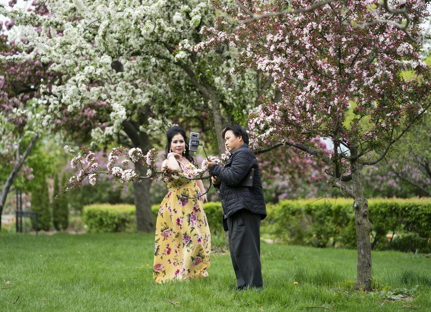 Yee Moua took a picture of his wife Va Vang with the cherry blossoms at Lake Harriet in Minneapolis, Minn., on Tuesday, May 21, 2019. The couple takes photos every spring at the same spot. ] RENEE JONES SCHNEIDER &#xa5; renee.jones@startribune.com