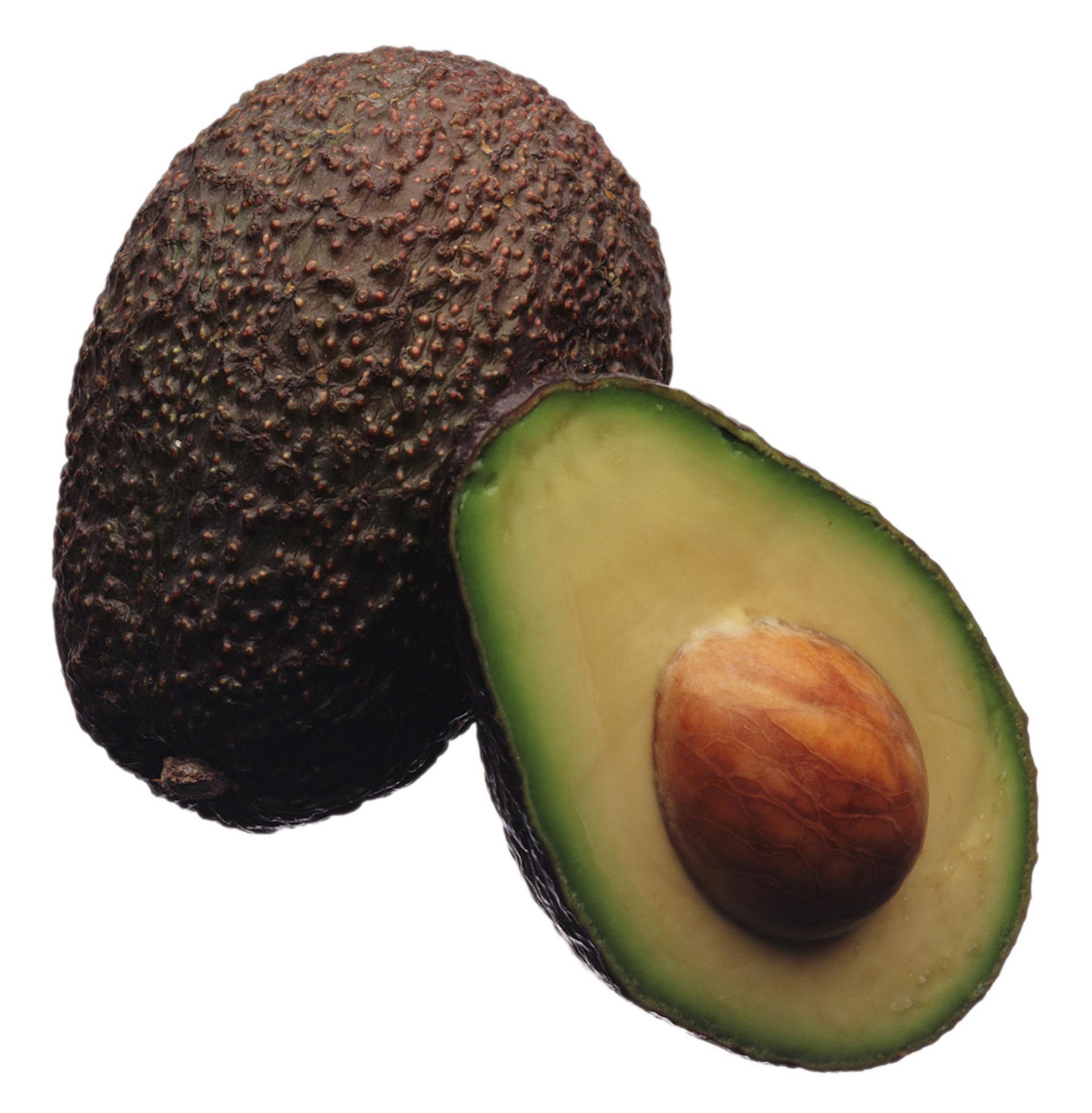 avocado ORG XMIT: MIN2013050712232350