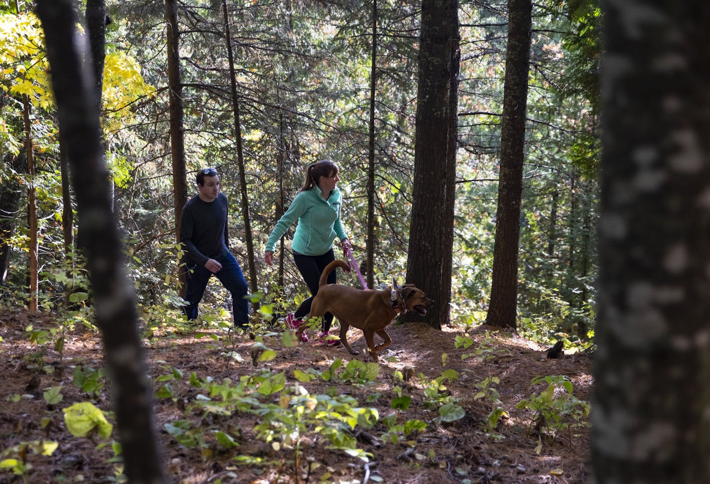 Chris Aepelbacher and Mary Krull walked along a trail in Lester Park, not far from Krull's home in Duluth. The city has more than 300 miles of trails.