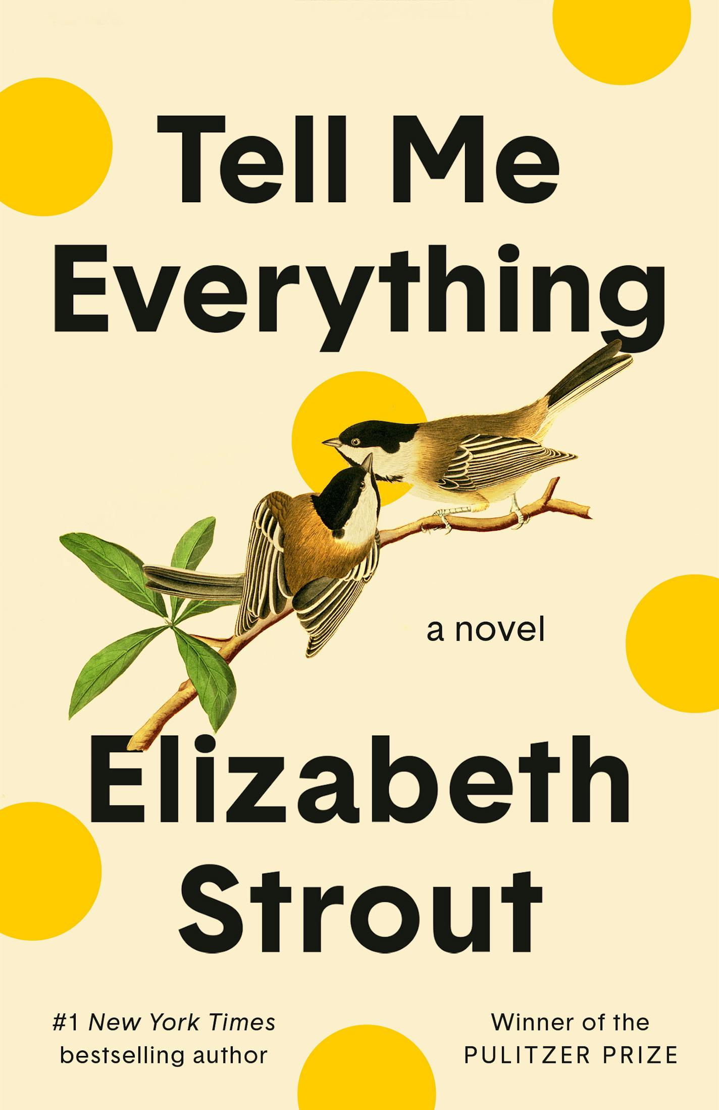 cover of Tell Me Everything is an illustration of two birds on a twig