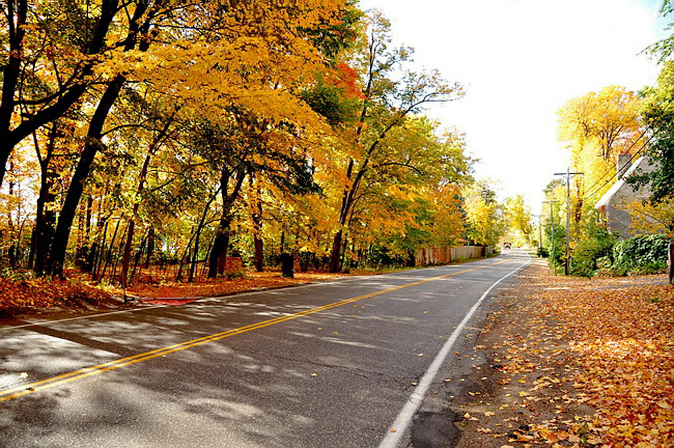 Bushaway Road -- credit TK