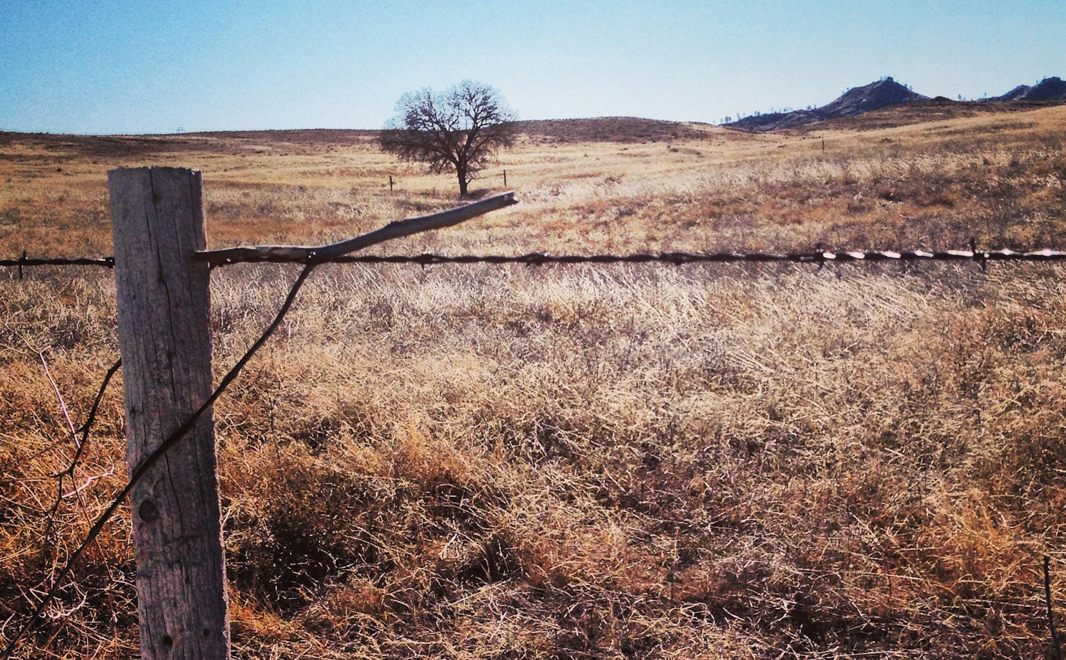 Elliott Eliason grew up in rural Chadron, Neb., playing mostly against foes lacking size and elite skills. Now 6-11, the Gophers junior still is working to make his hometown proud.