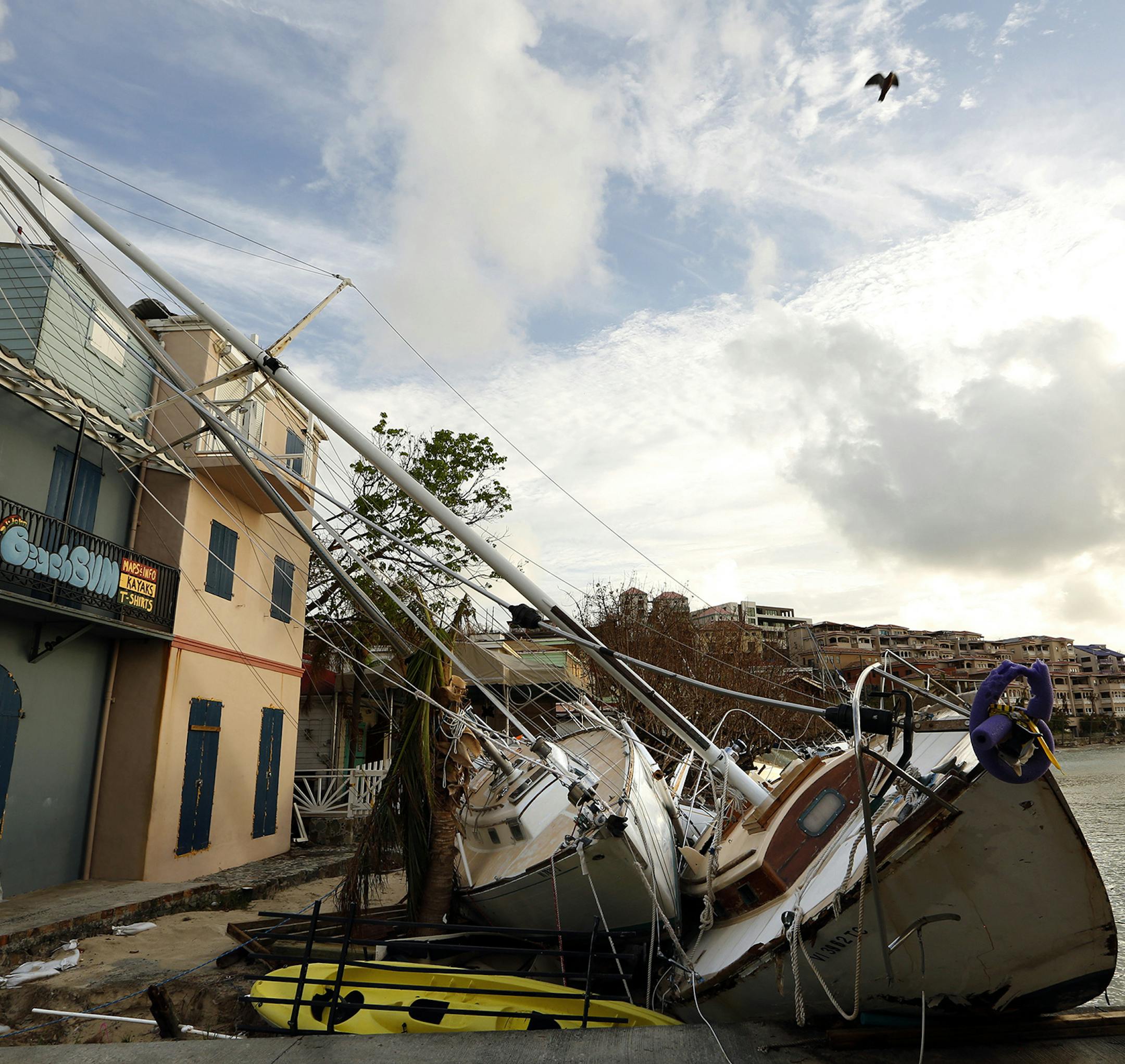 At the main ferry dock in downtown Cruz Bay, sailboats are piled along the shore on Friday, Sept. 15, 2017, a week after Hurricane Irma destroyed much of St. John Island, one of the U.S. Virgin Islands. (Carolyn Cole/Los Angeles Times/TNS) ORG XMIT: 1211085