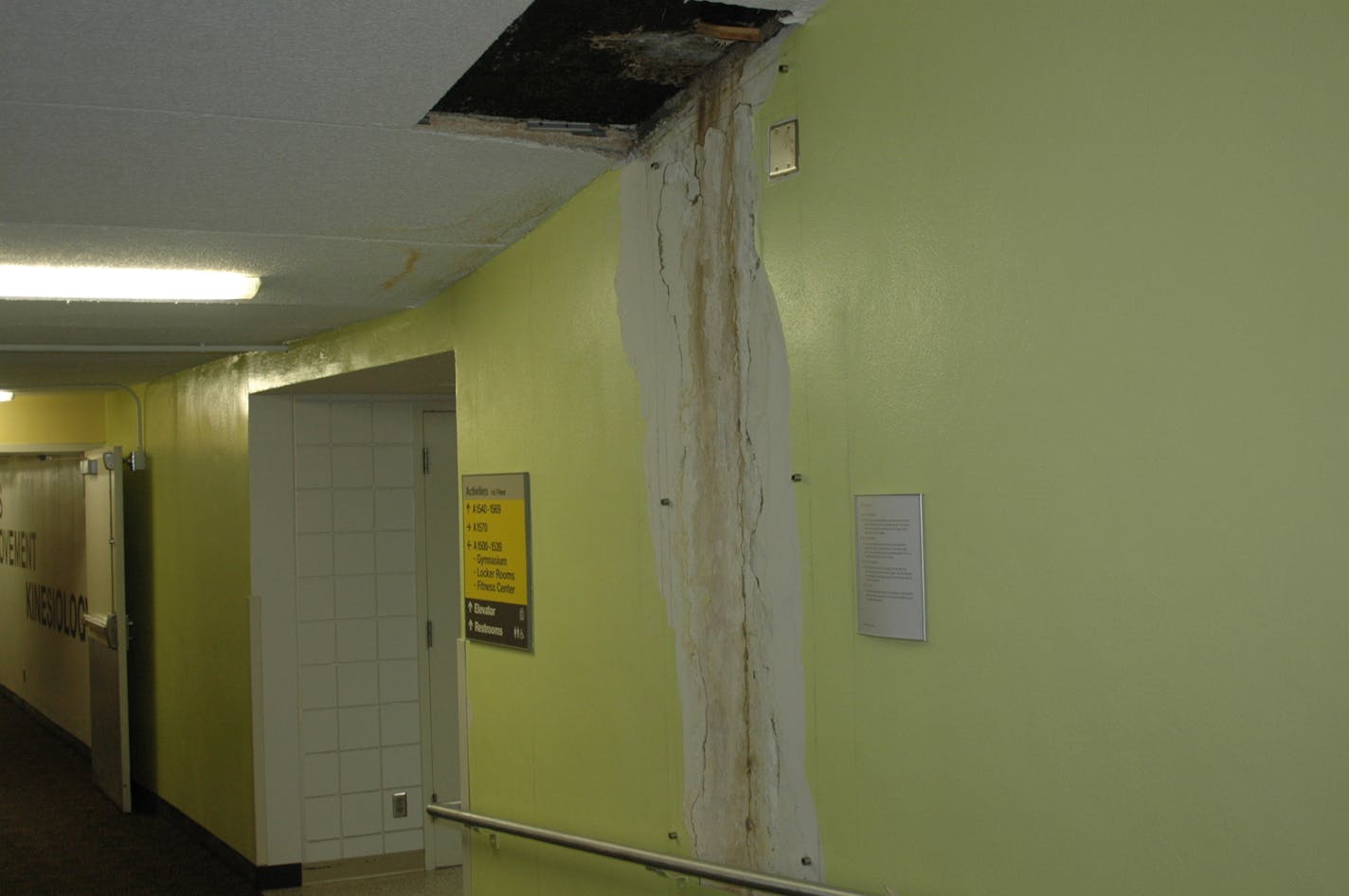 The wall in Normandale's Activity Building has suffered severe water damage due to major foundation leaks over the years.