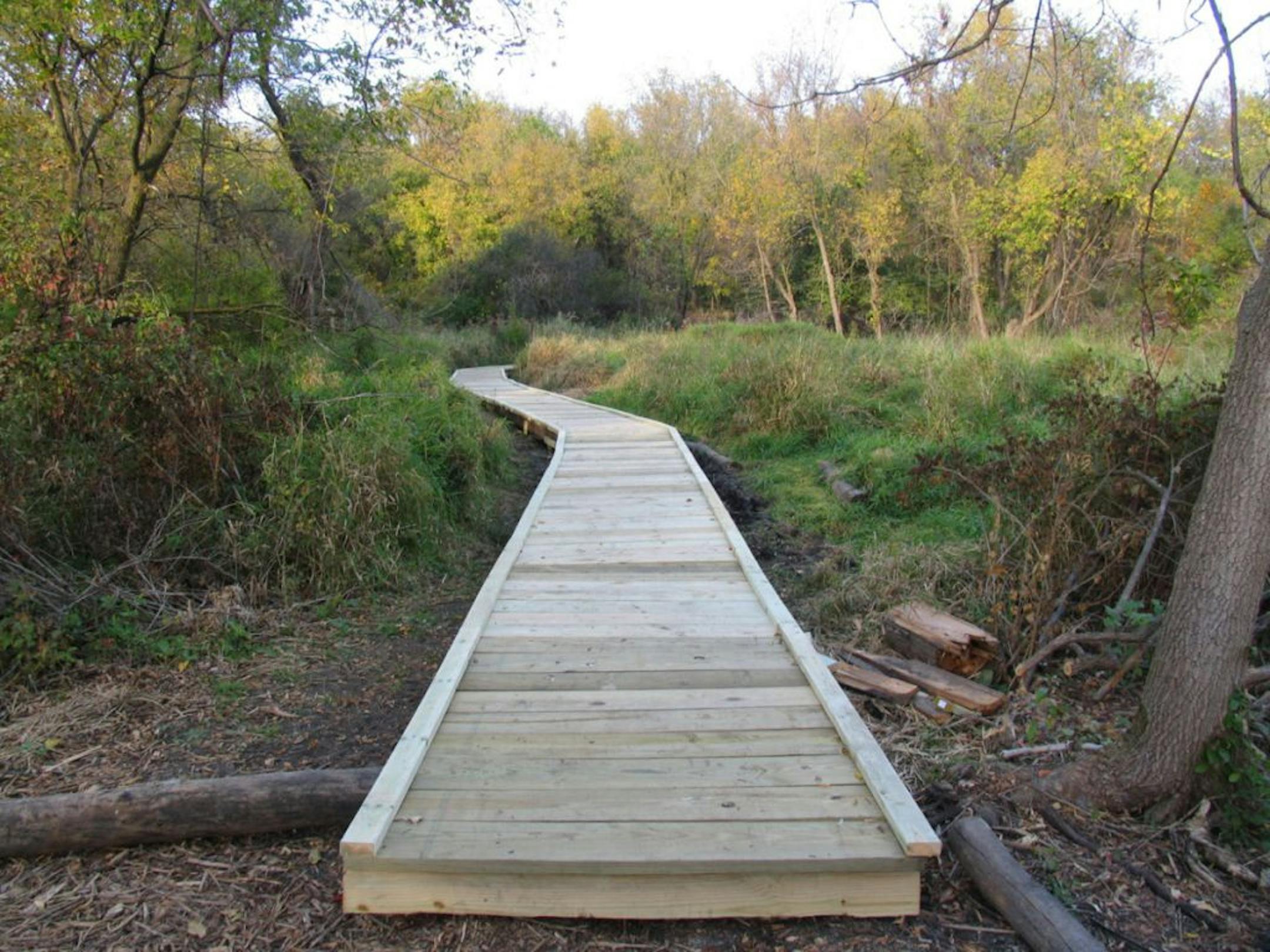 The newly completed bog walk at the Dodge Nature Center