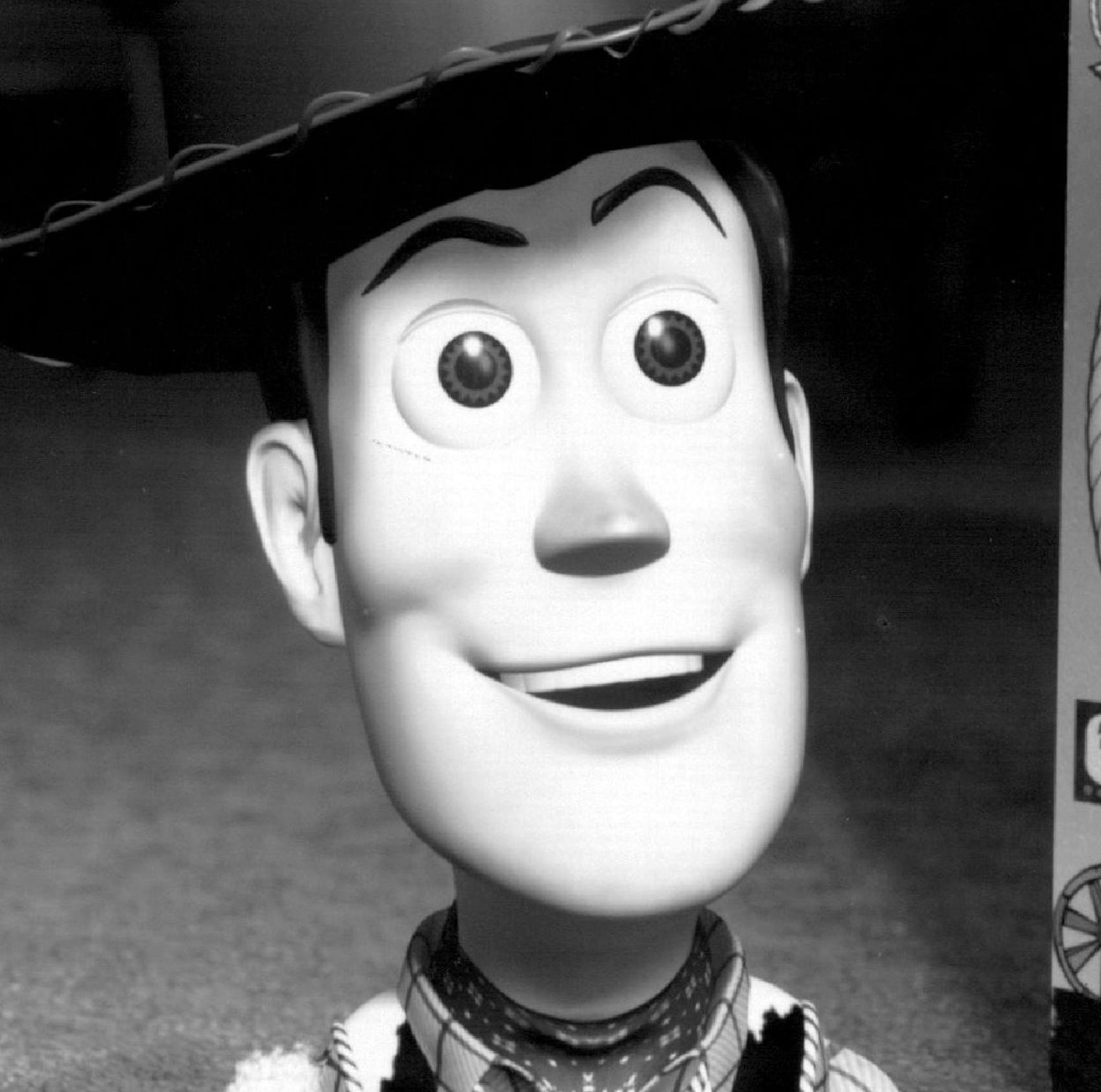 The Last ‚ÄúRoundup?‚Äù - After being kidnapped by an obsessive toy collector, Woody (a pull-string cowboy toy) discovers that he is a highly valued collectible from a 1950's TV show called ‚ÄúWoody‚Äôs Roundup,‚Äù in Disney/Pixar‚Äôs action-packed new computer animated comedy-adventure, ‚ÄúToy Story 2.‚Äù Above: Woody gets a rousing welcome from his TV co-star,