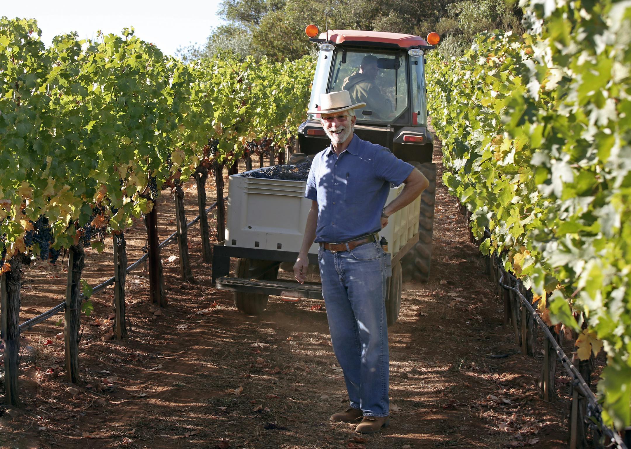 Tim Mondavi during the grape harvest. Provided photo
